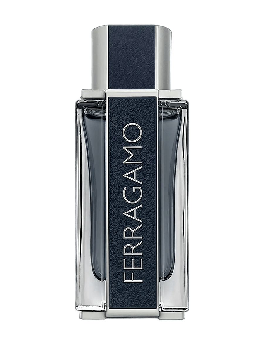 Ferragamo - Ferragamo Men EdT 100ml - till honom - clear - 4