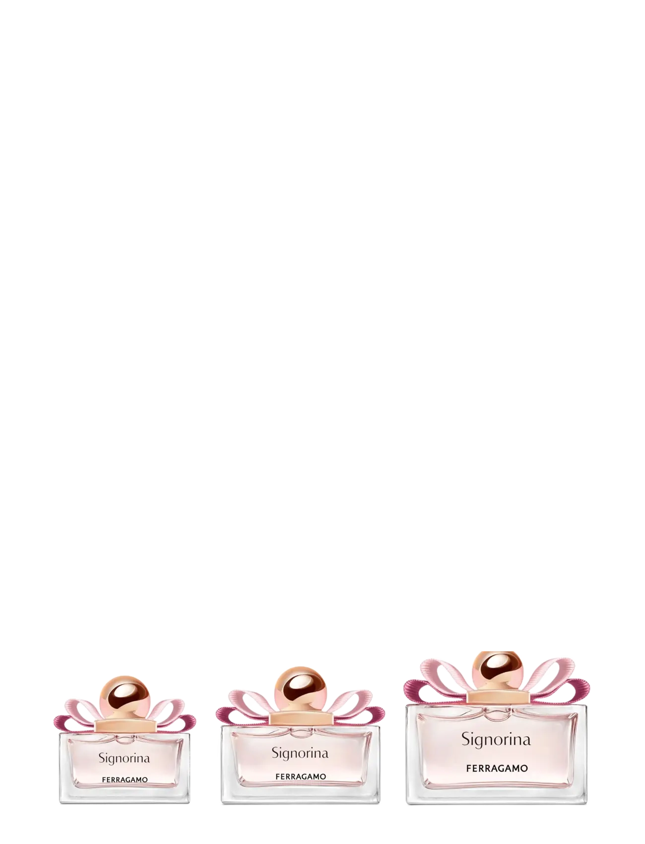Signorina Edp 6