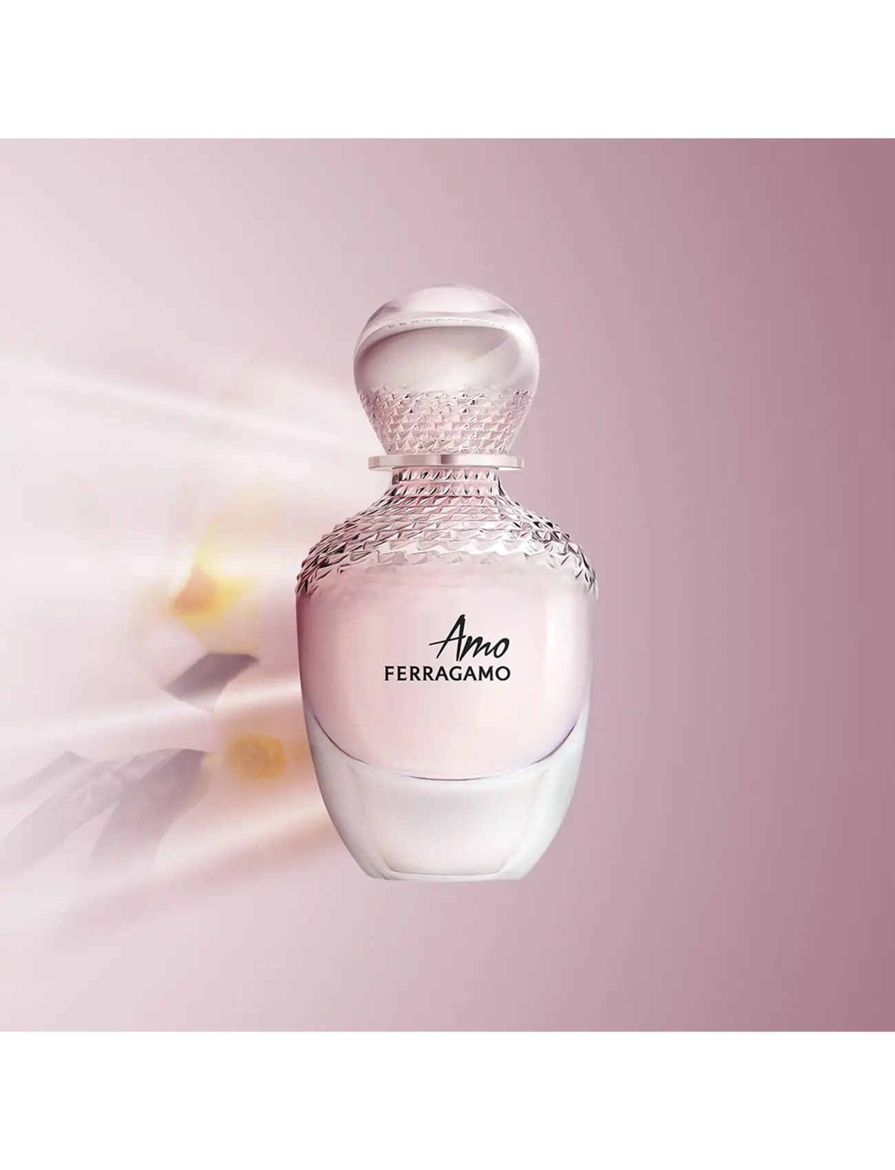 Amo Eau de Parfum 4
