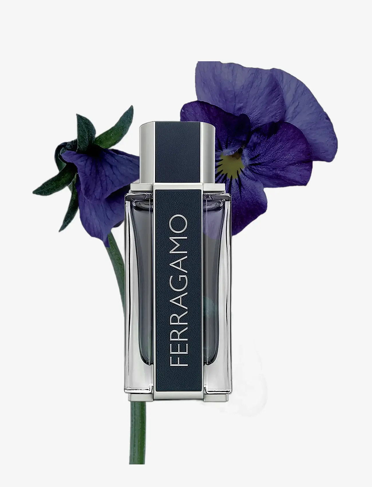 Ferragamo - Ferragamo Men EdT 30ml - till honom  - clear - 2