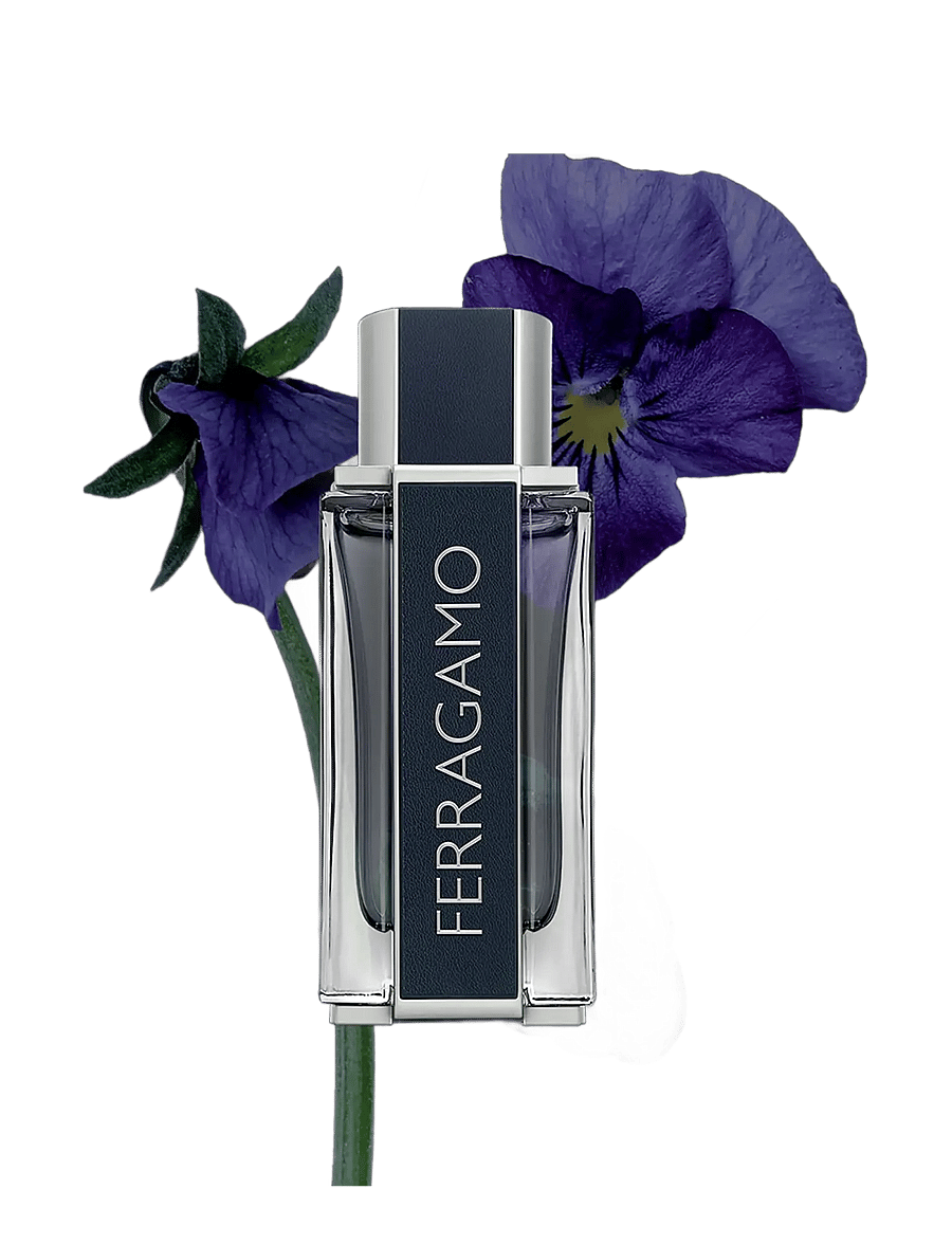 Ferragamo - Ferragamo Men EdT 30ml - till honom - clear - 2