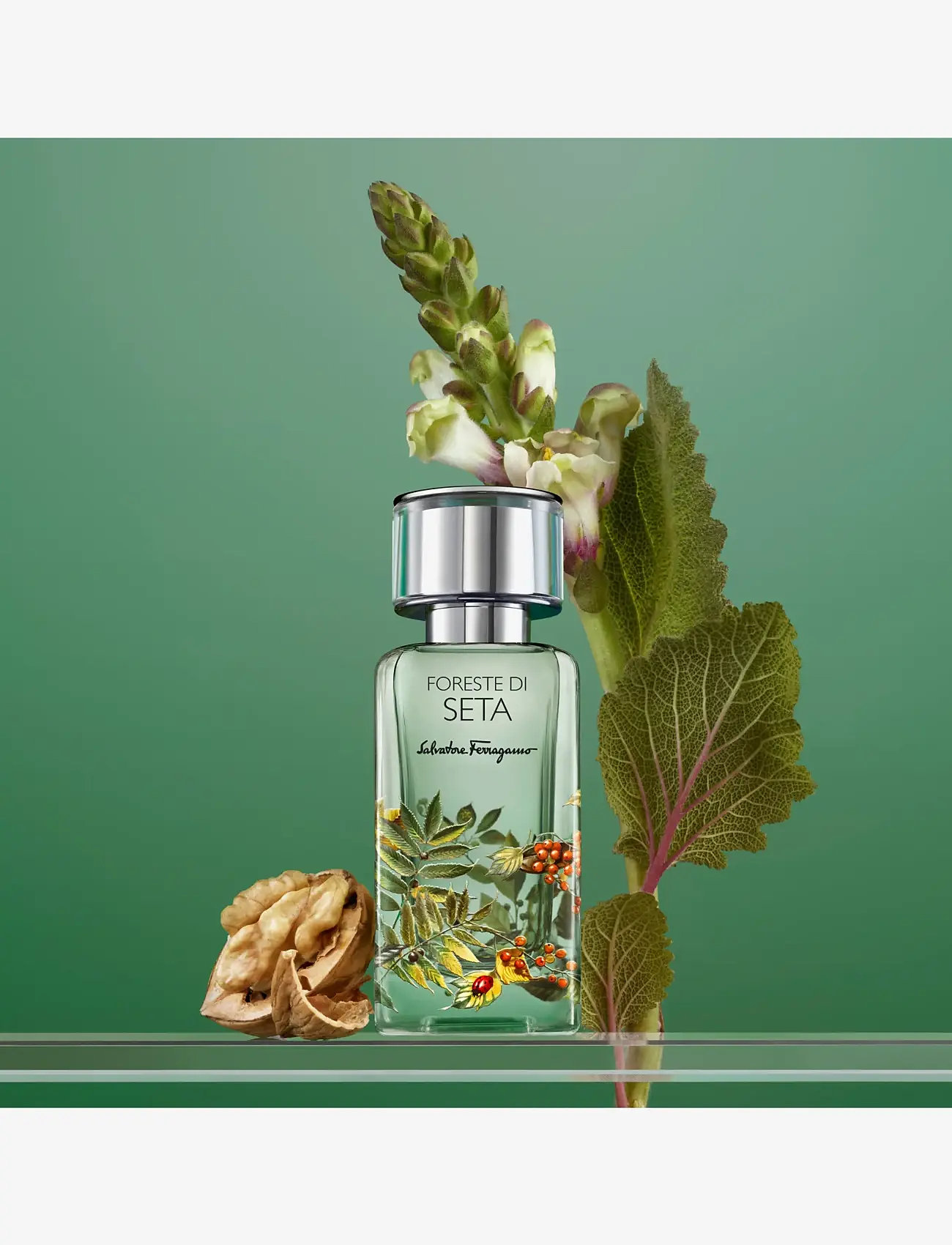 Ferragamo - Foreste Di Seta EdP - for him - clear - 0