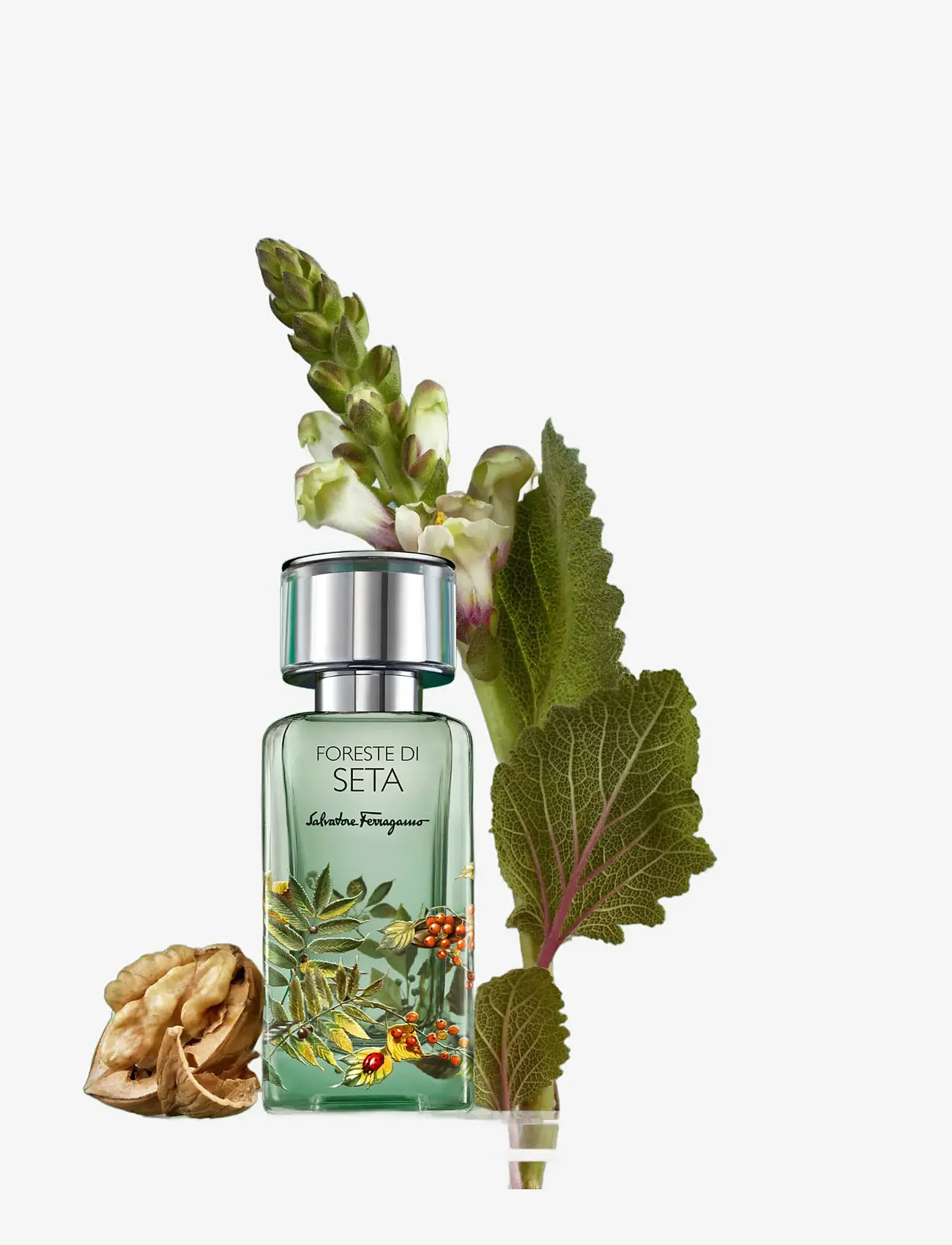 Ferragamo - Foreste Di Seta EdP - till honom  - clear - 2