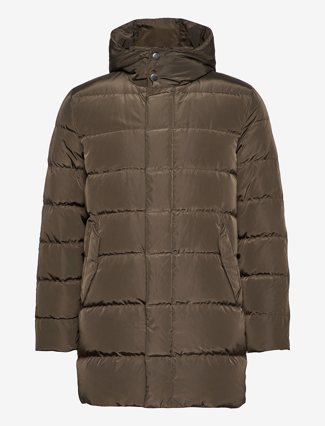 Aria MW - Dyton - OLIVE/KHAKI