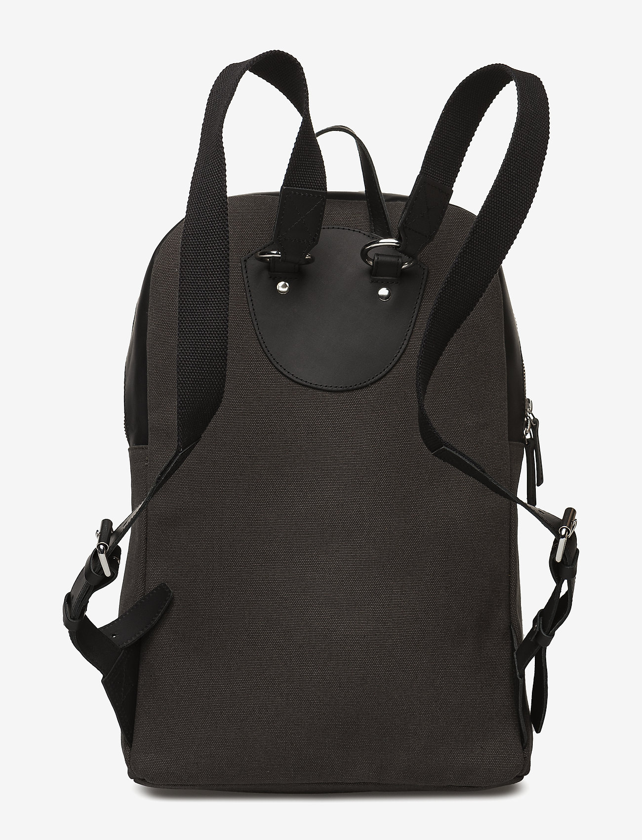 SANDQVIST - ALFONS - beluga - 1