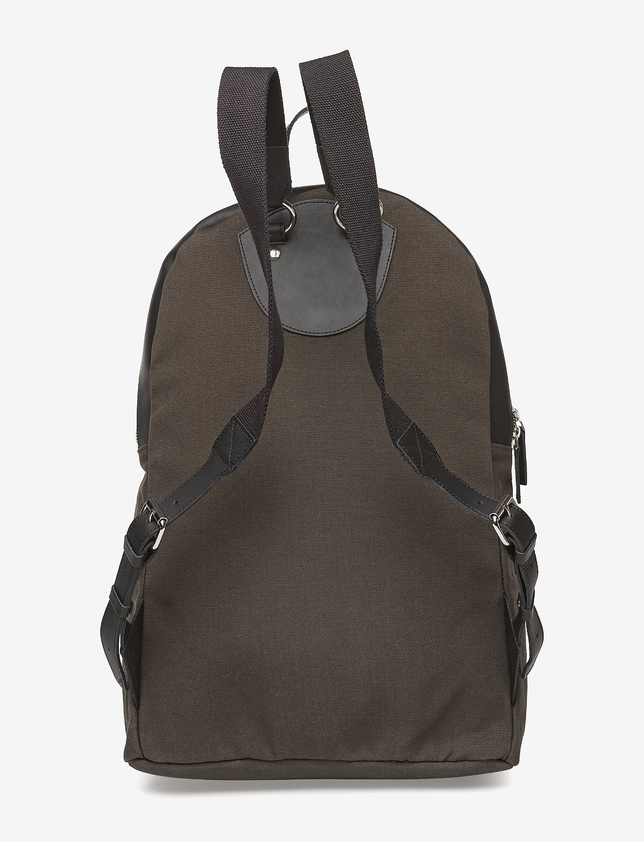 SANDQVIST - SAMUEL - beluga - 1