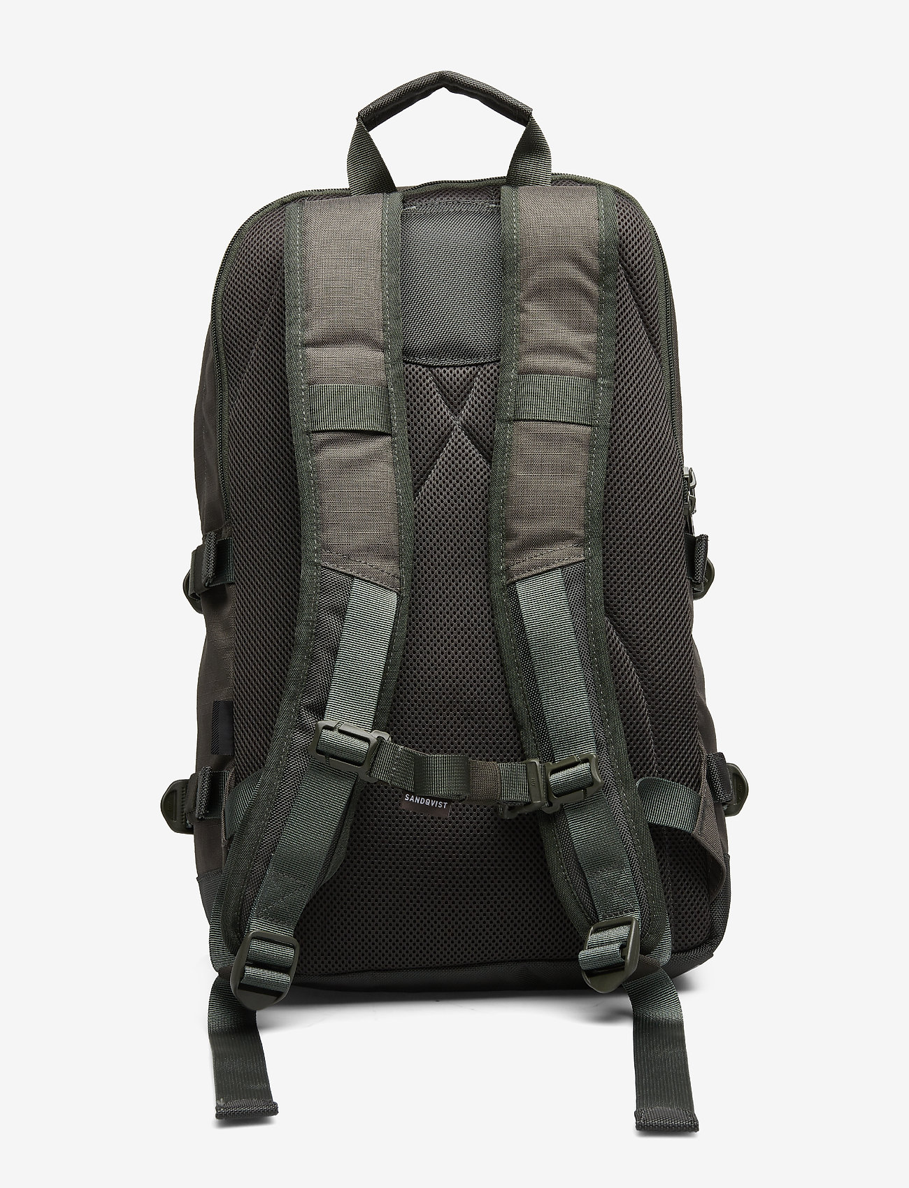 SANDQVIST - PETER - beluga - 1