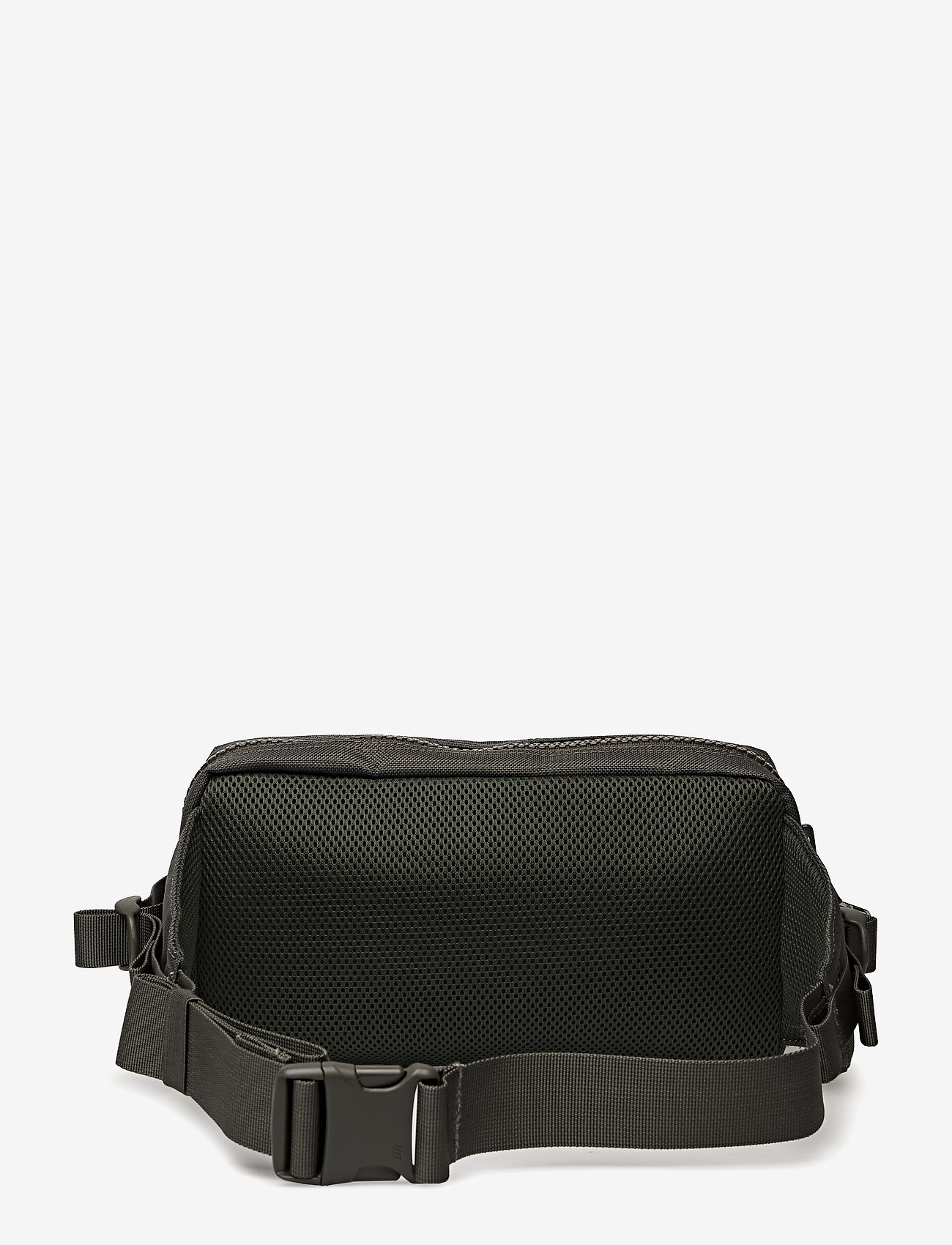 SANDQVIST - FELIX - beluga - 1