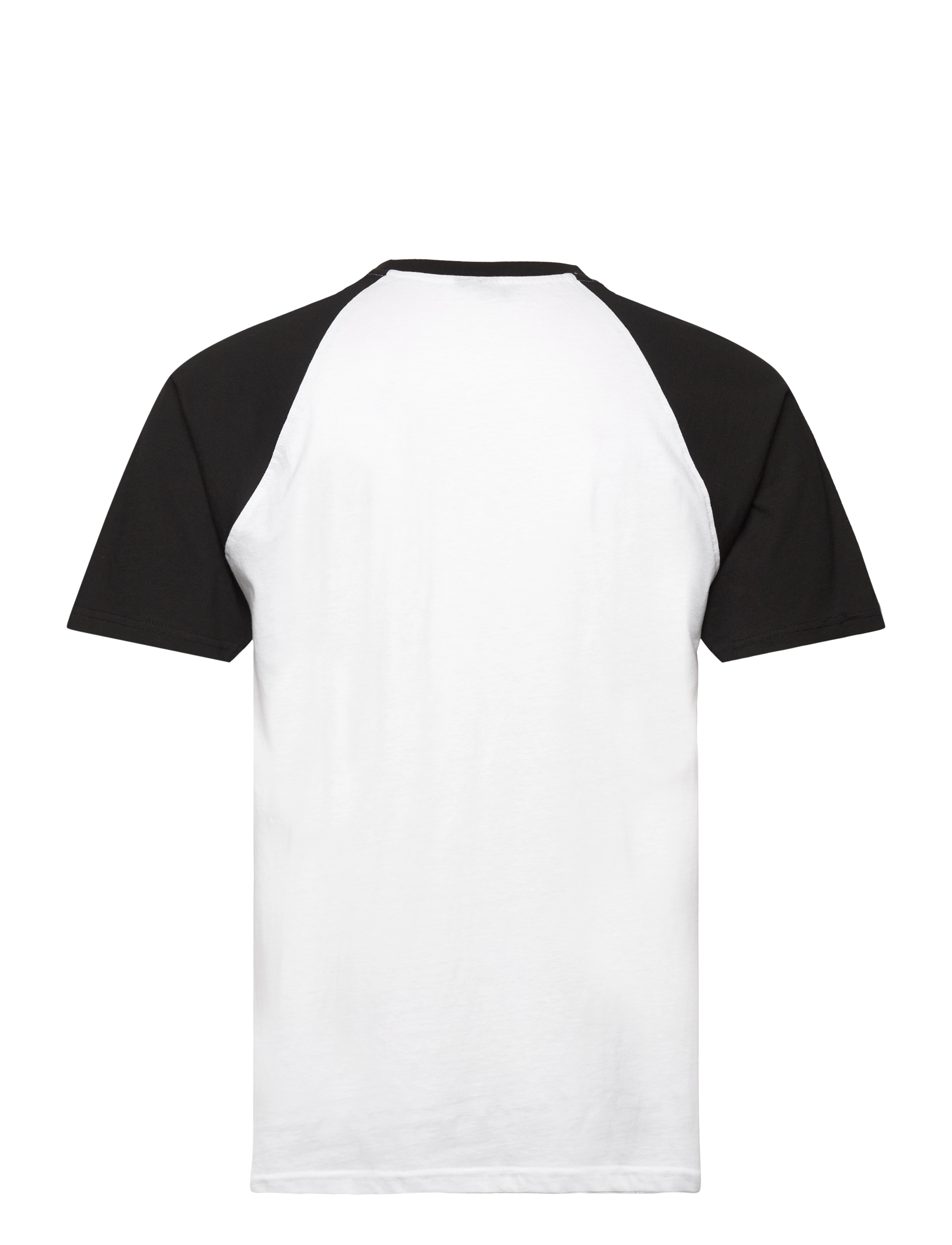 Santa Cruz - Screaming Wave Front Raglan T-Shirt - white/black - 2