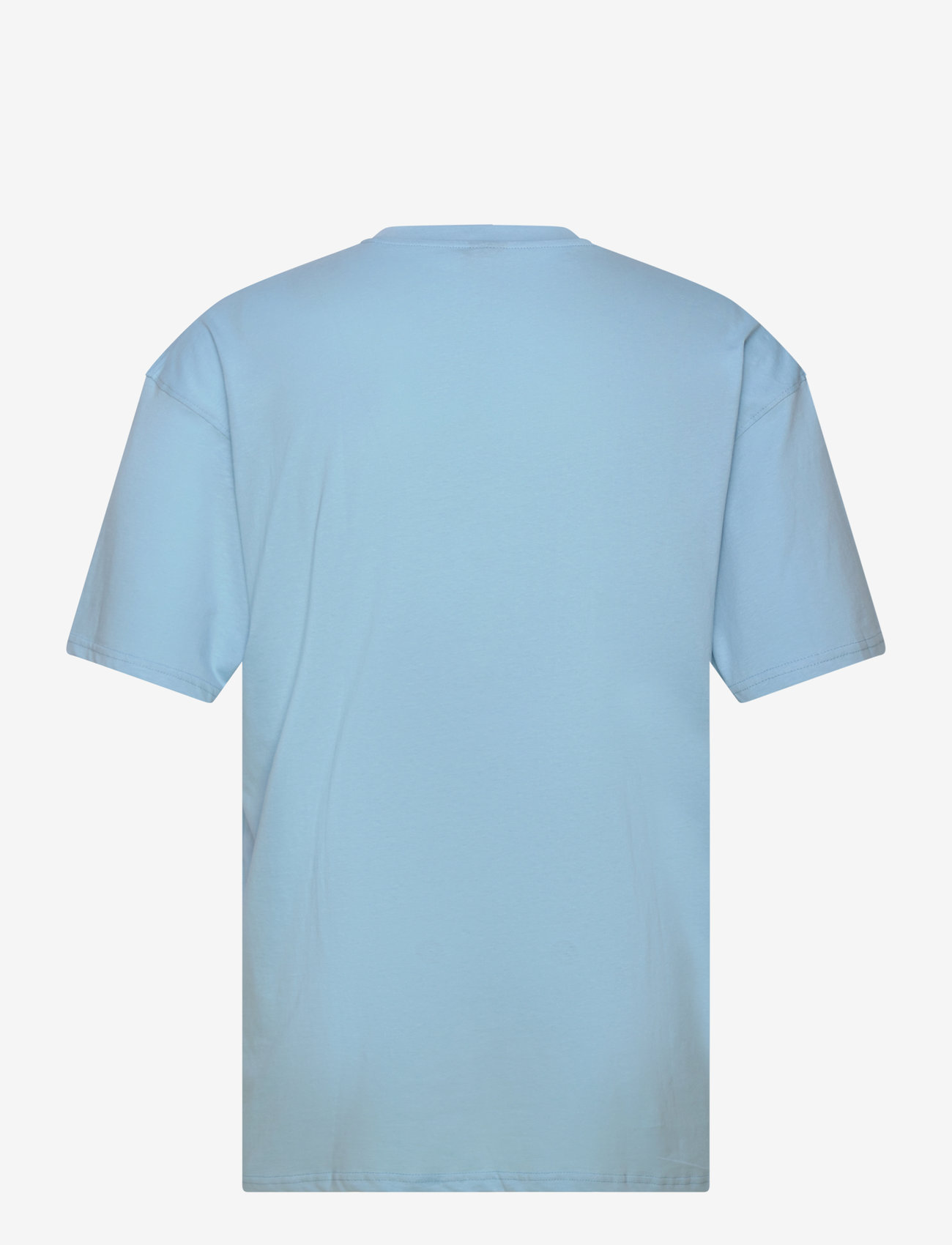 Santa Cruz - Oval Check Flame Front - crystal blue - 1