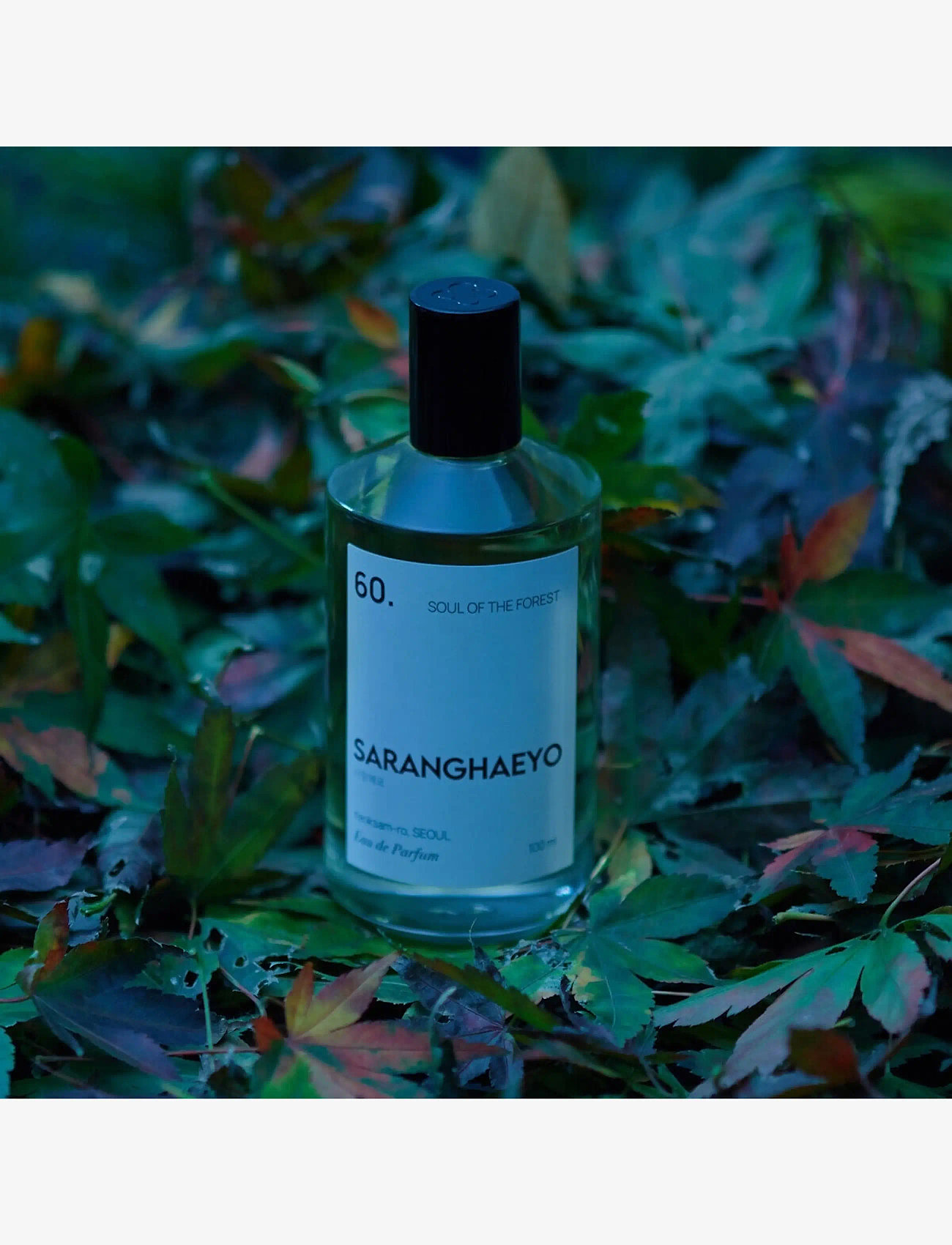 Saranghaeyo - 60. AIR OF THE FOREST EAU DE PARFUM - til ham  - clear - 1