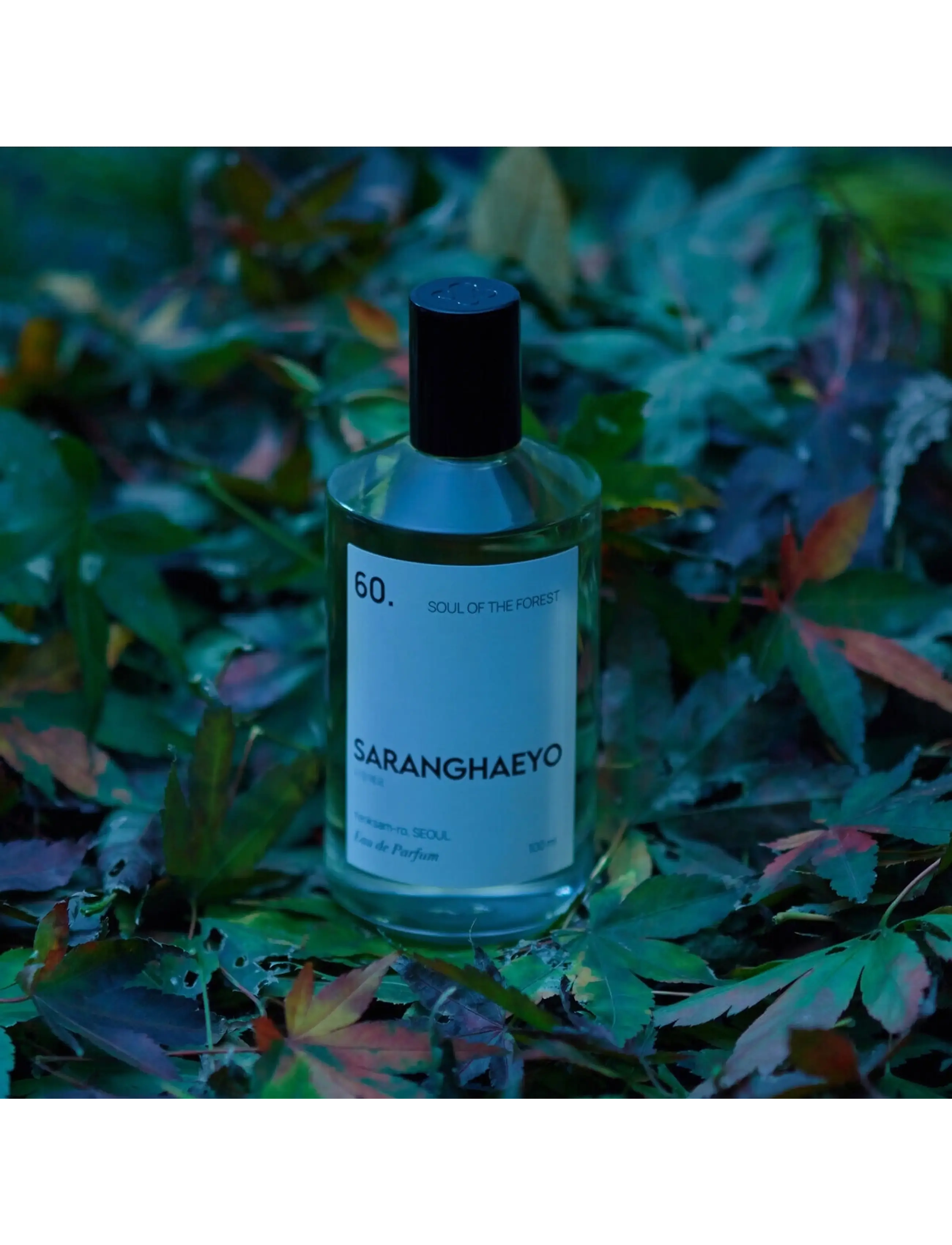 Saranghaeyo - 60. AIR OF THE FOREST EAU DE PARFUM - til ham  - clear - 1