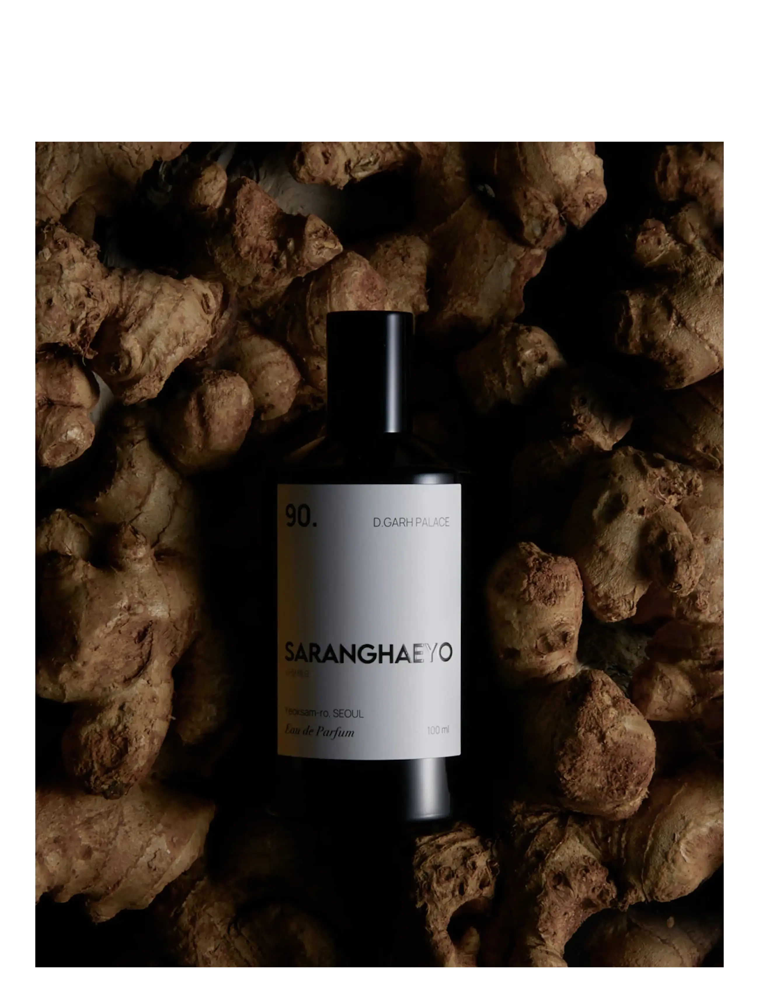 Saranghaeyo - 90. D.GARH PALACE EAU DE PARFUM - clear - 1