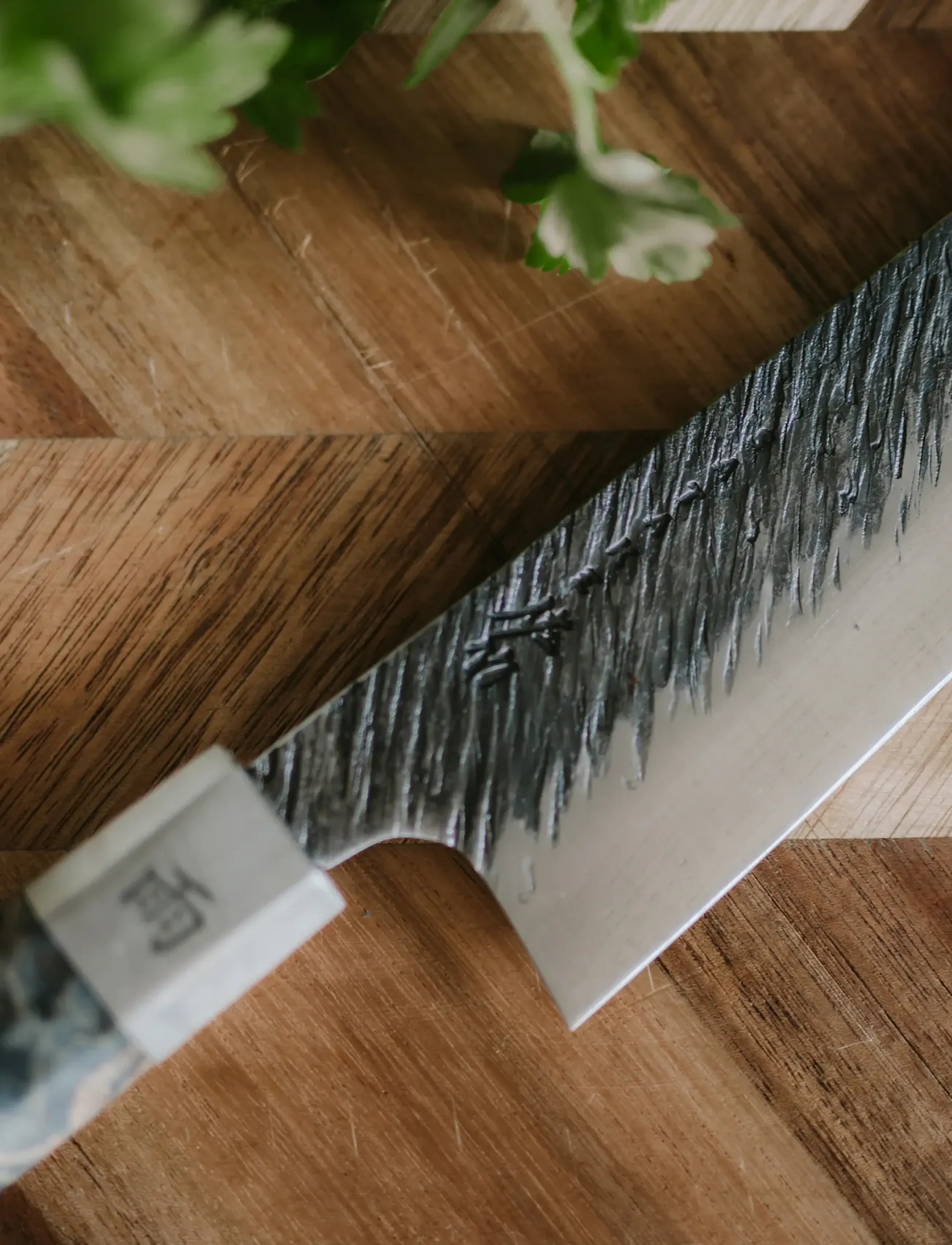Satake - Satake Chef knife - Šefpavāra naži - steel and multicolored - 4