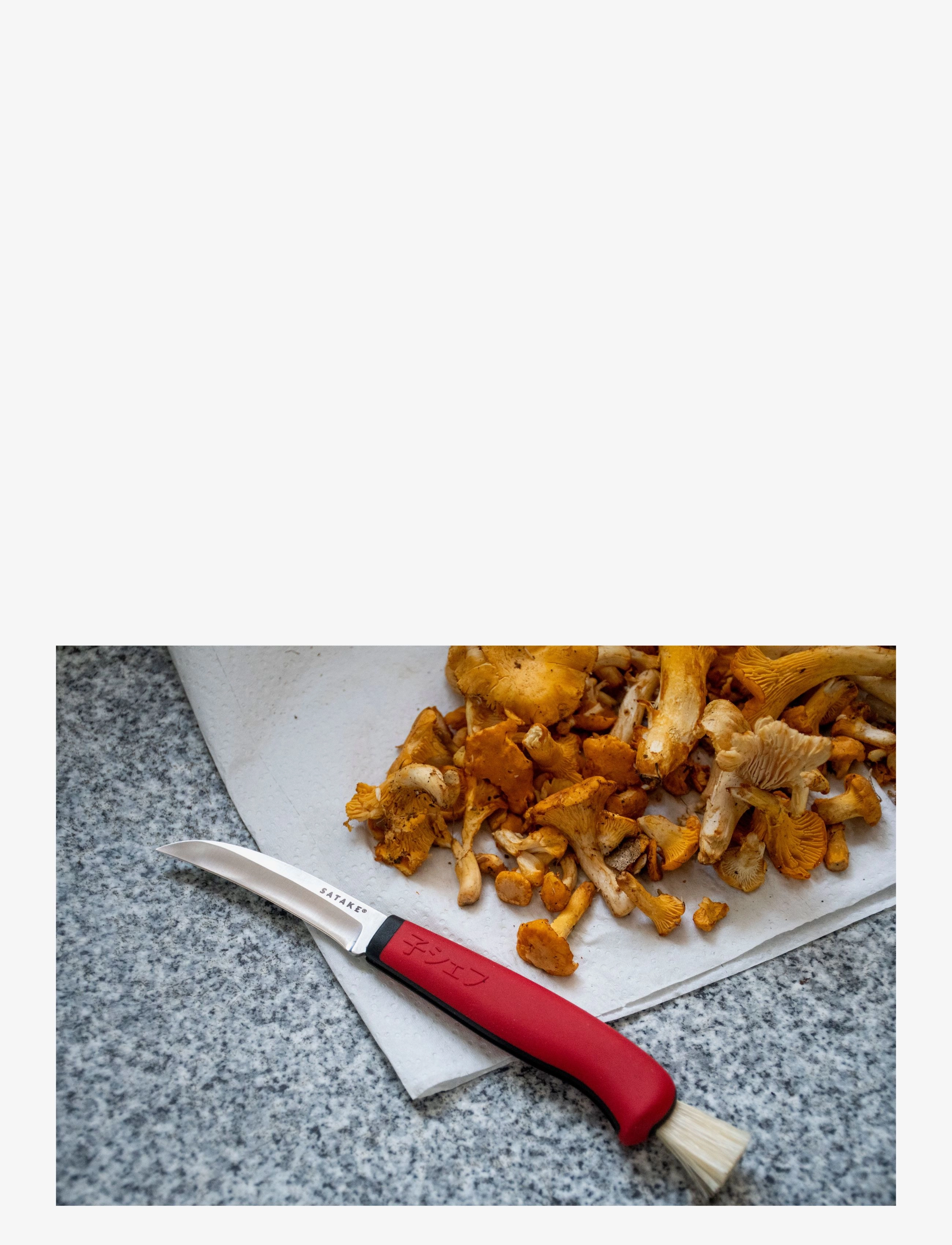 Satake - Satake Outdoor Mushroom knife - steel and red - 3