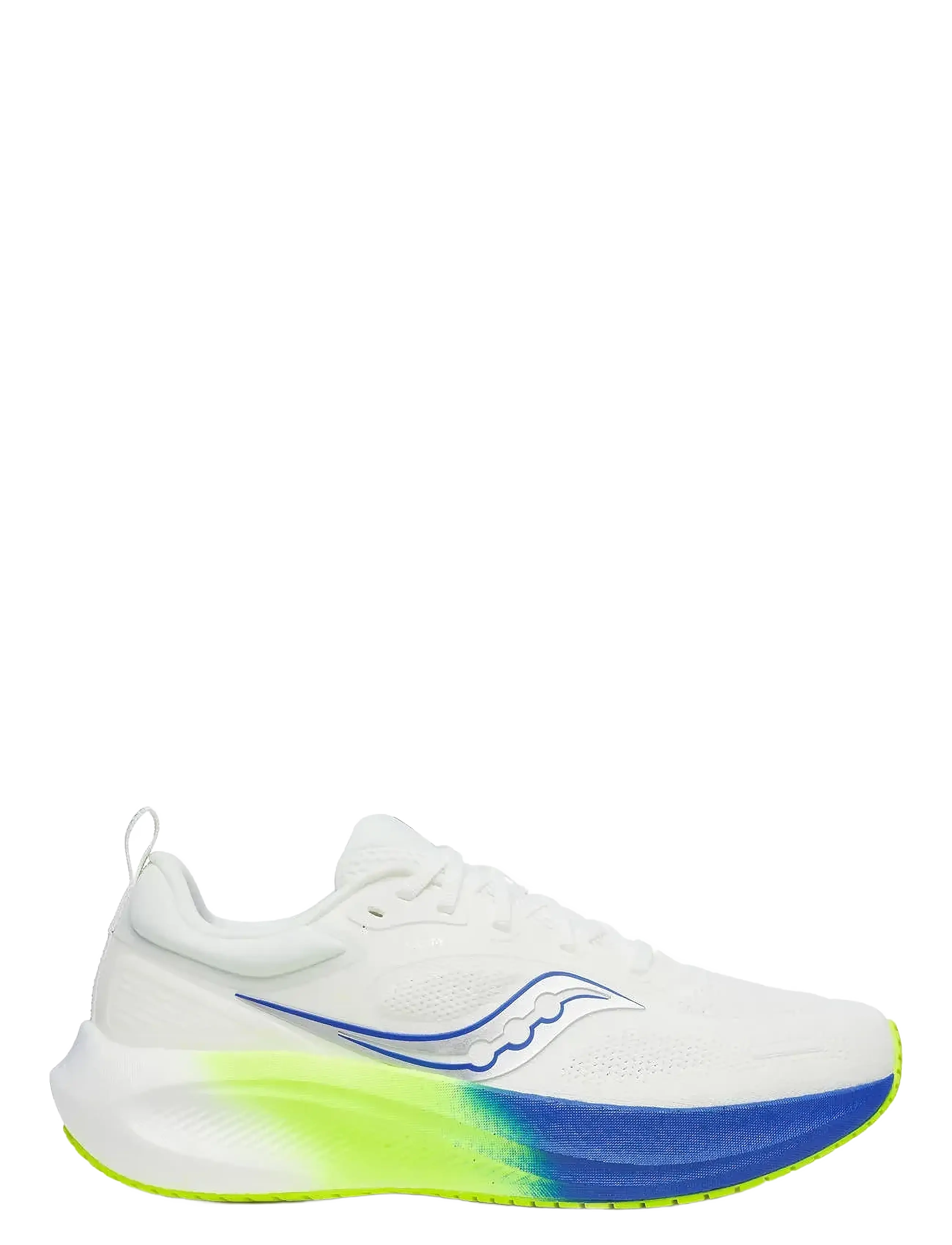 WHITE/LAPIS