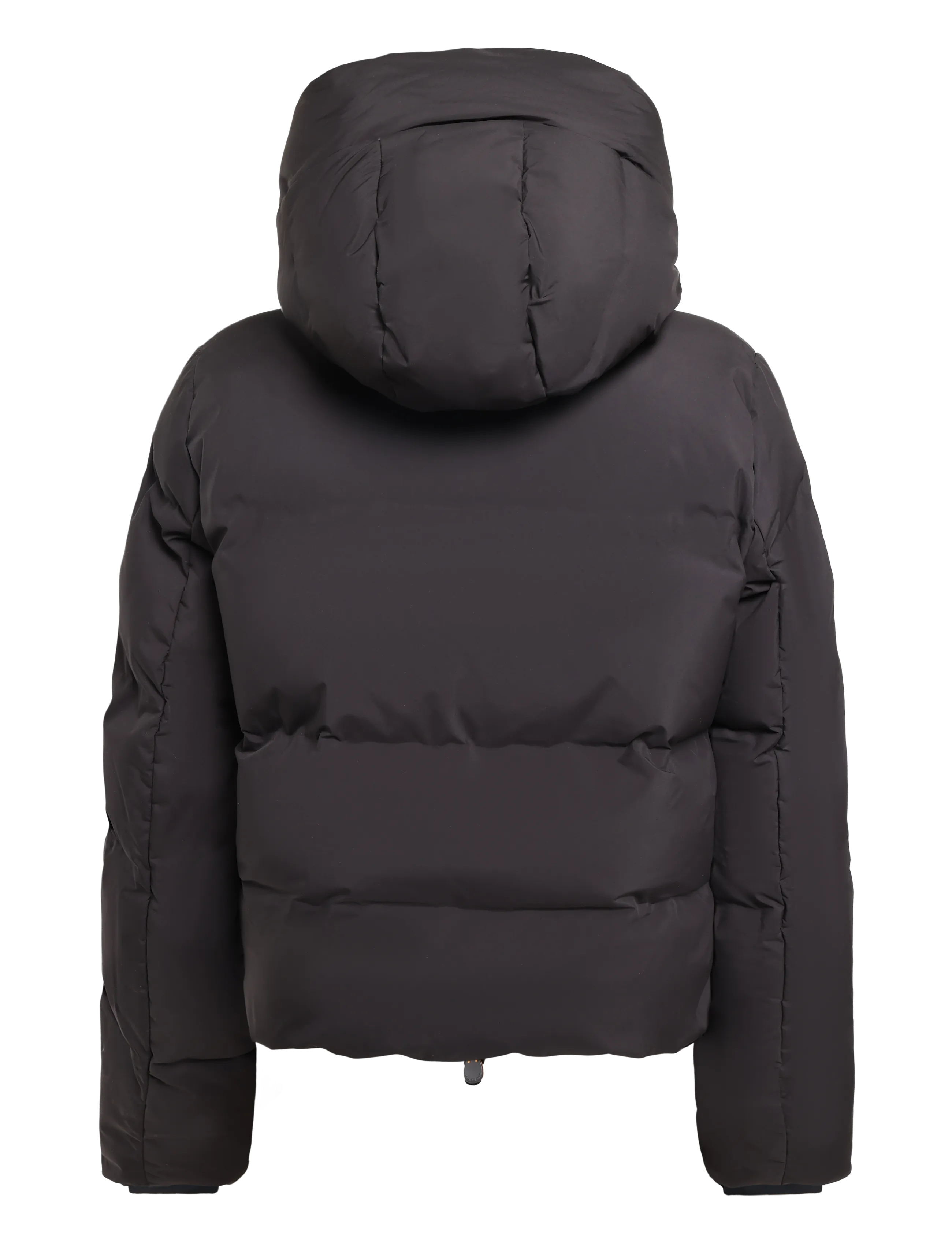 Save the Duck - ALASKA - brown black - 1