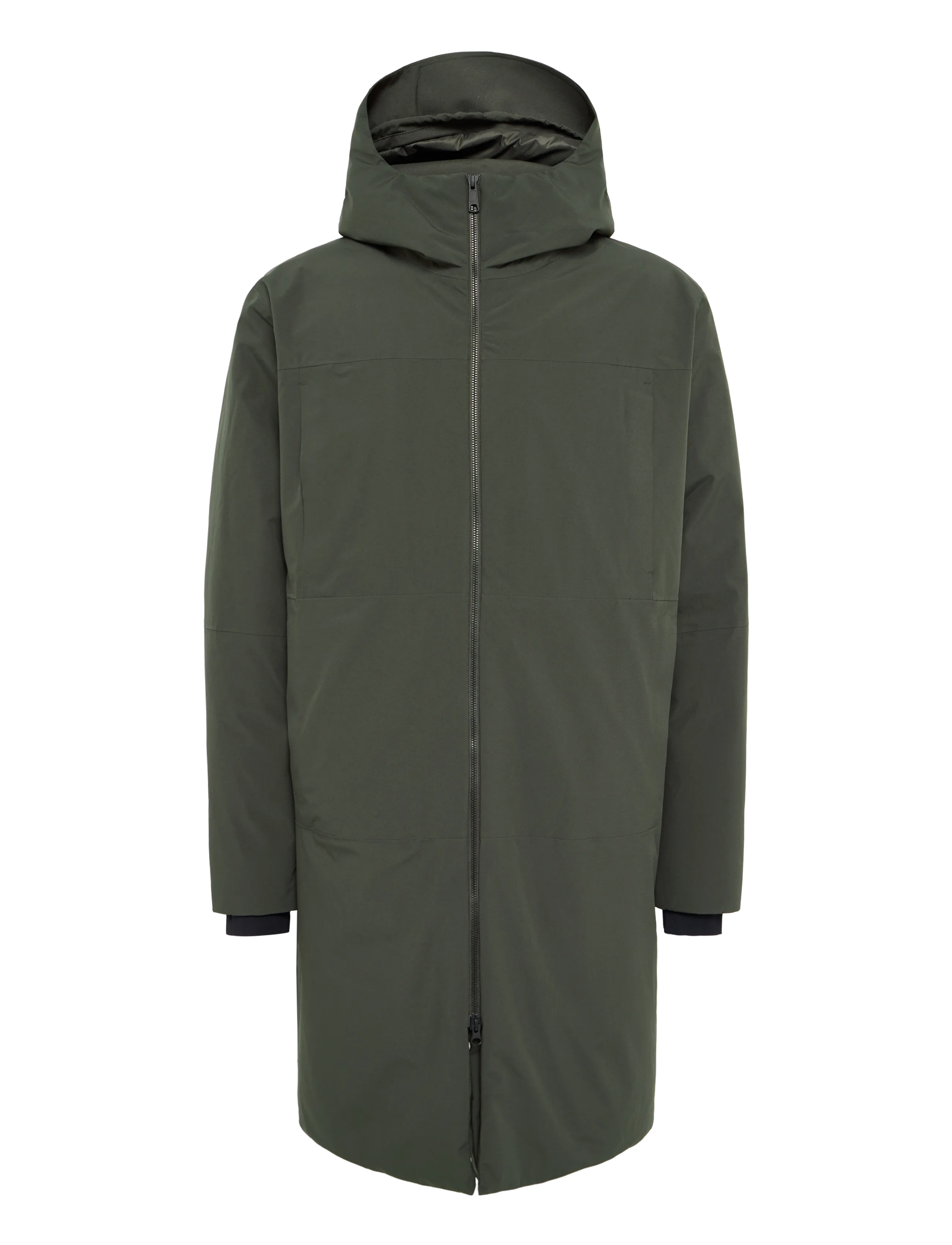 DK. OLIVE