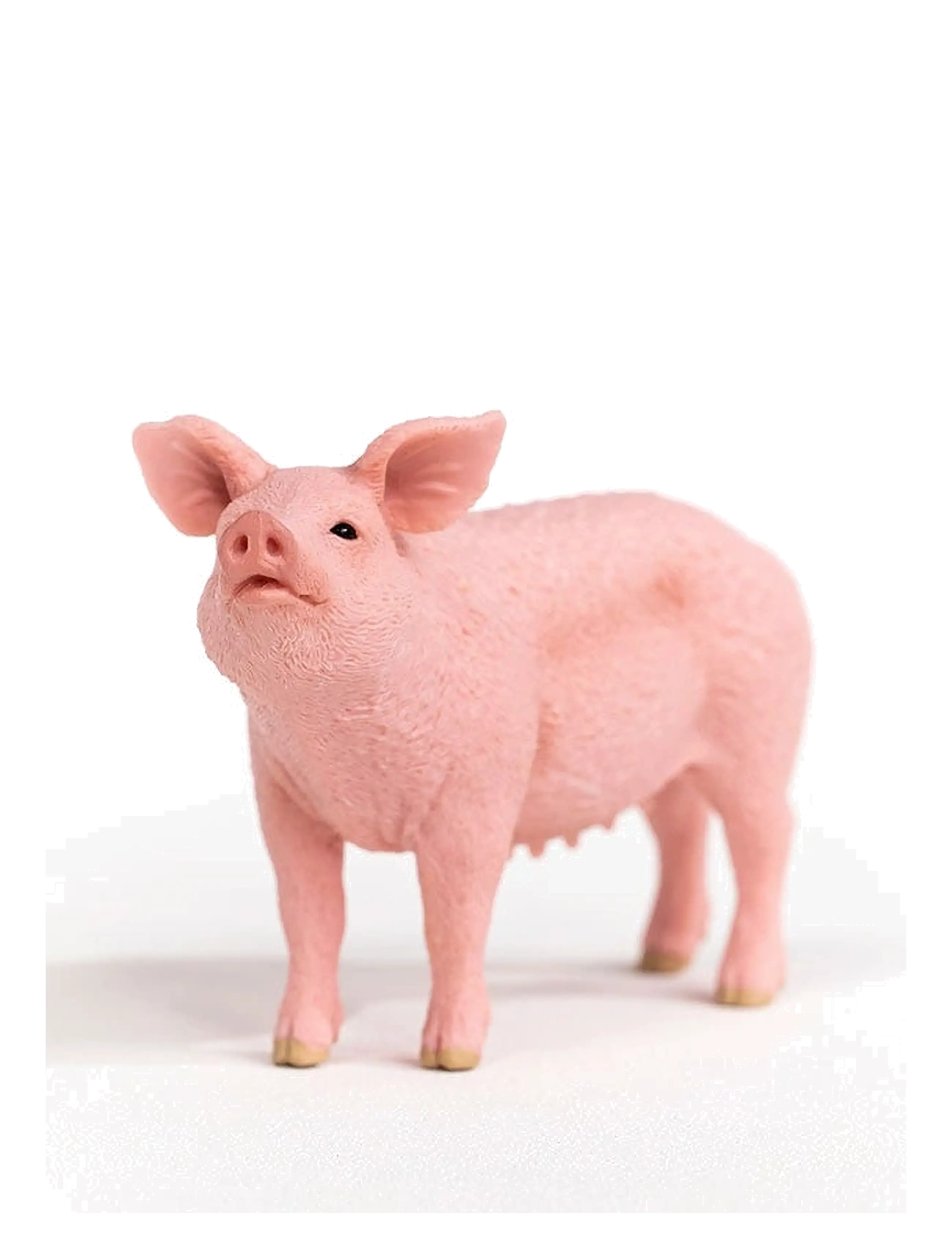 Schleich - Schleich Pig - lägsta priserna - multi - 1