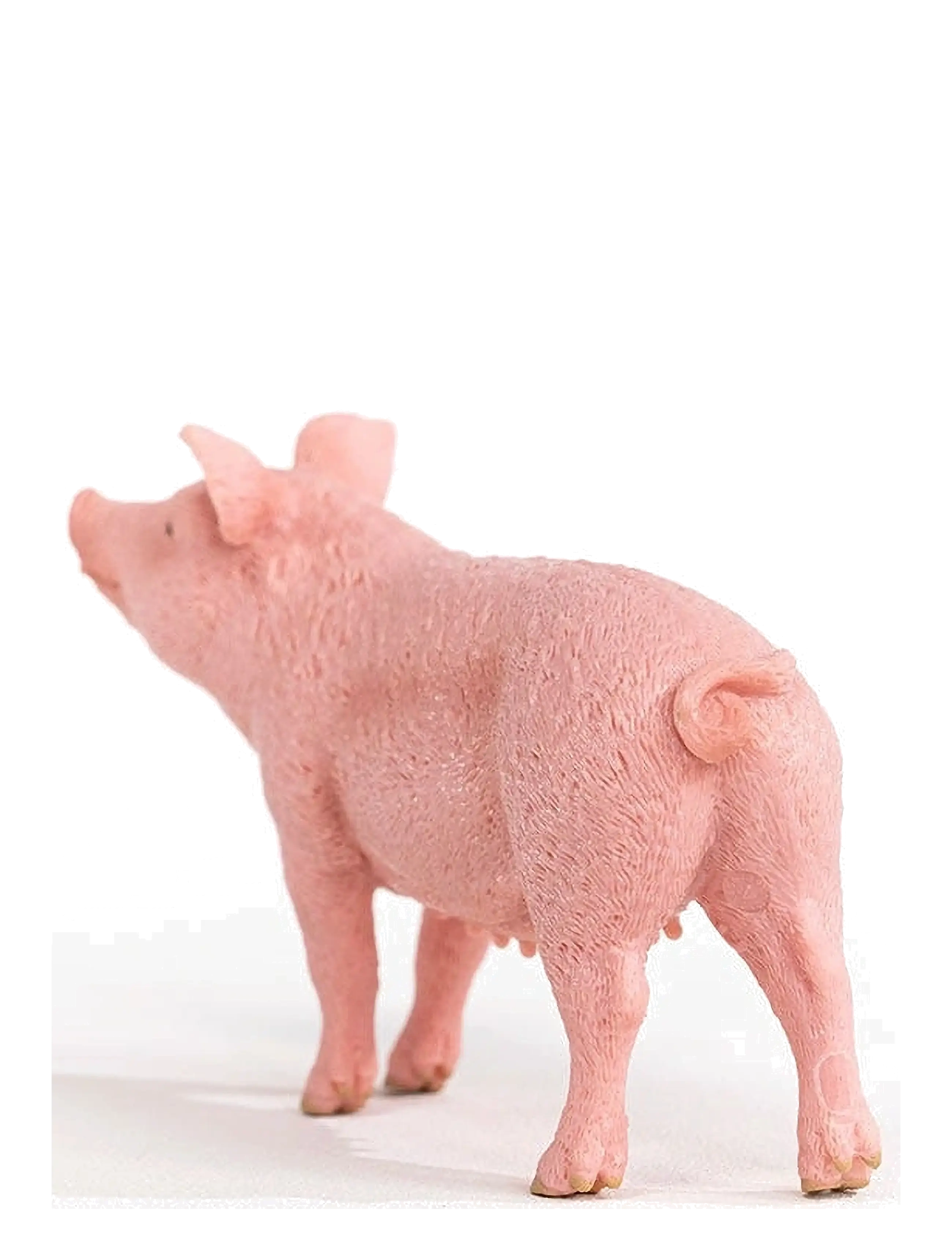 Schleich - Schleich Pig - lägsta priserna - multi - 3