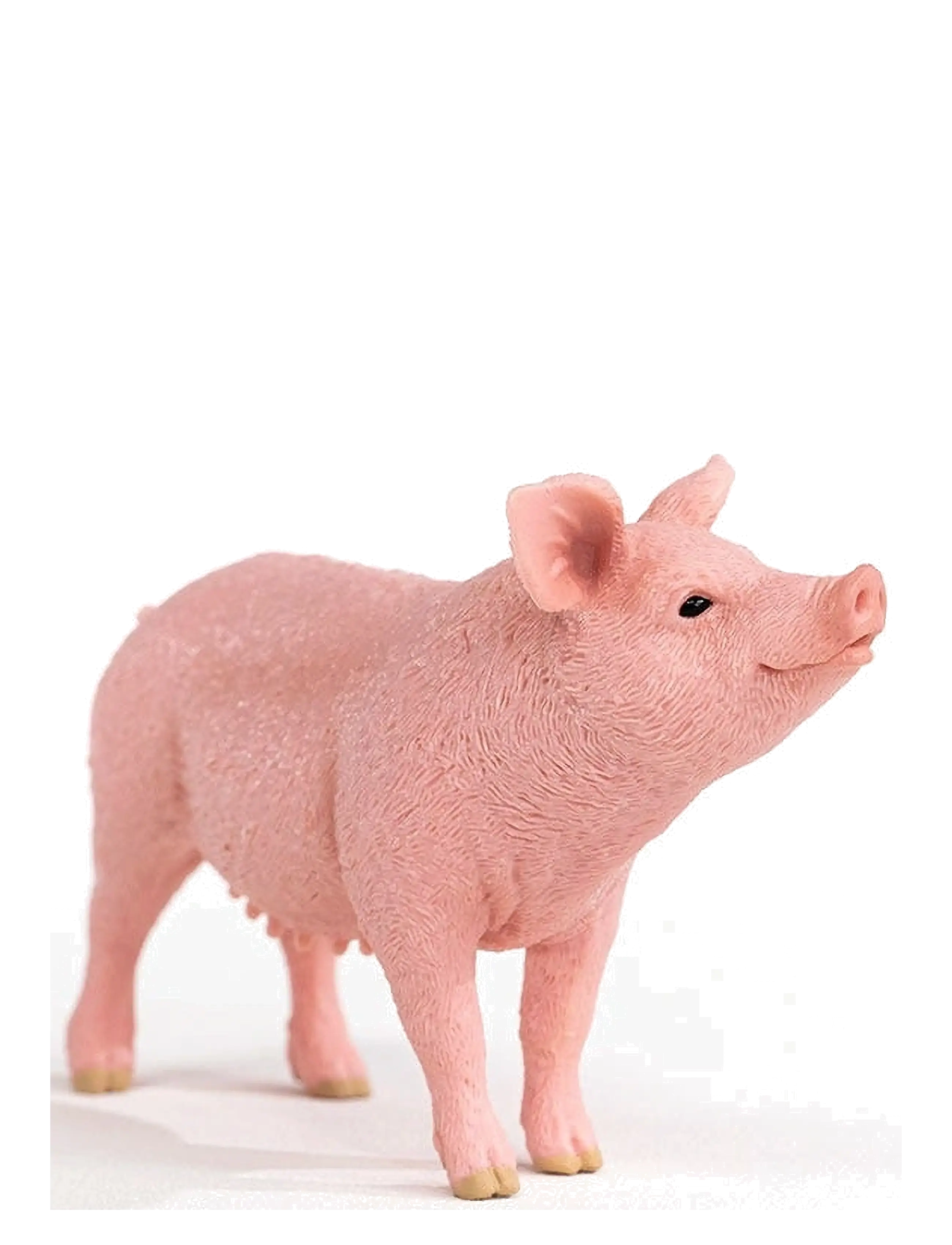 Schleich - Schleich Pig - lägsta priserna - multi - 5