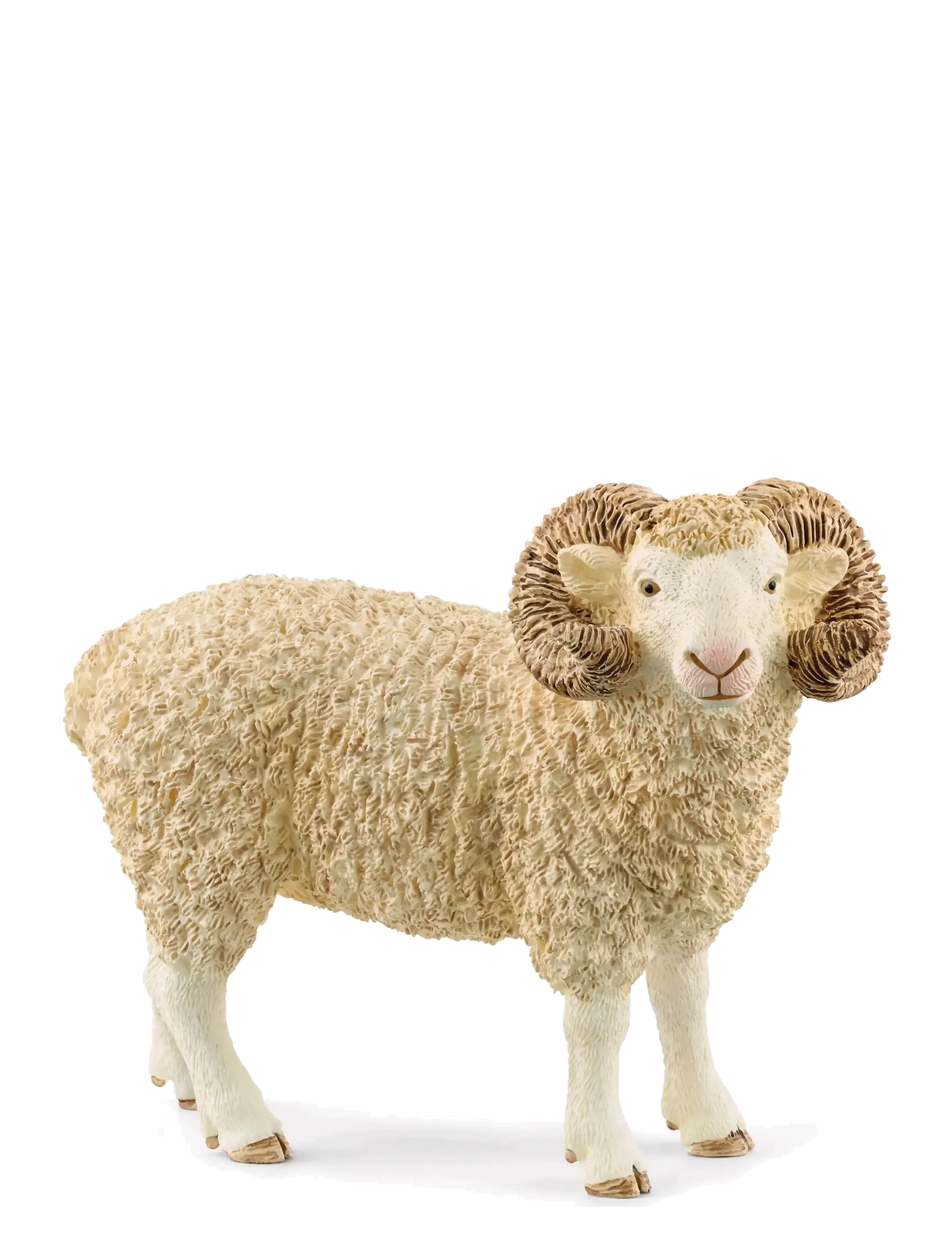 Schleich - Schleich Ram - djur - multi - 1