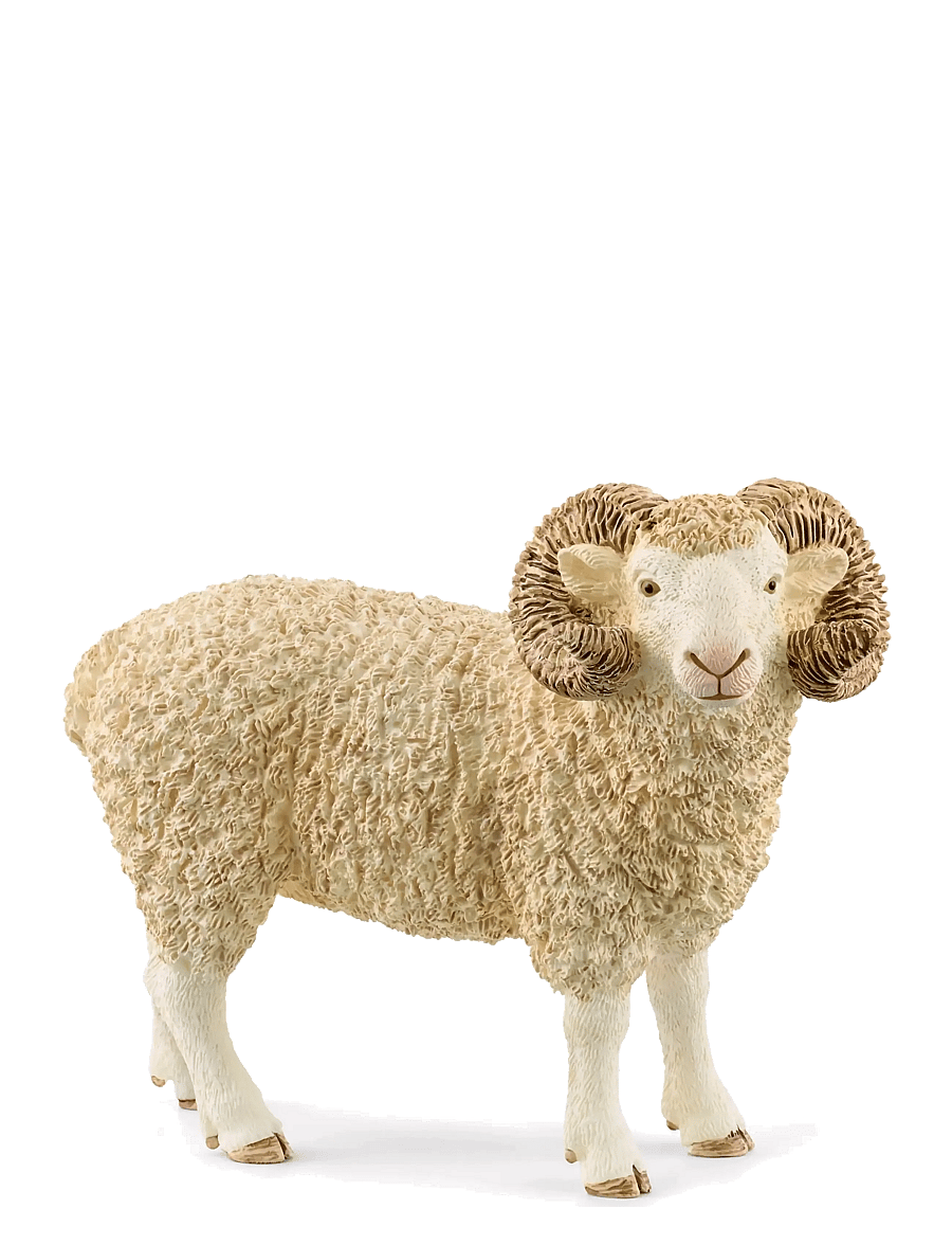 Schleich - Schleich Ram - djur - multi - 1