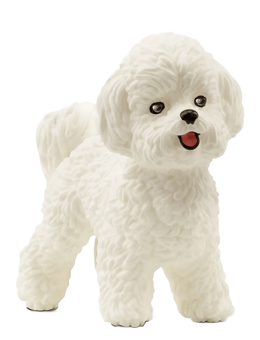 Schleich - Schleich Bichon Frisé - dyr - multi - 0