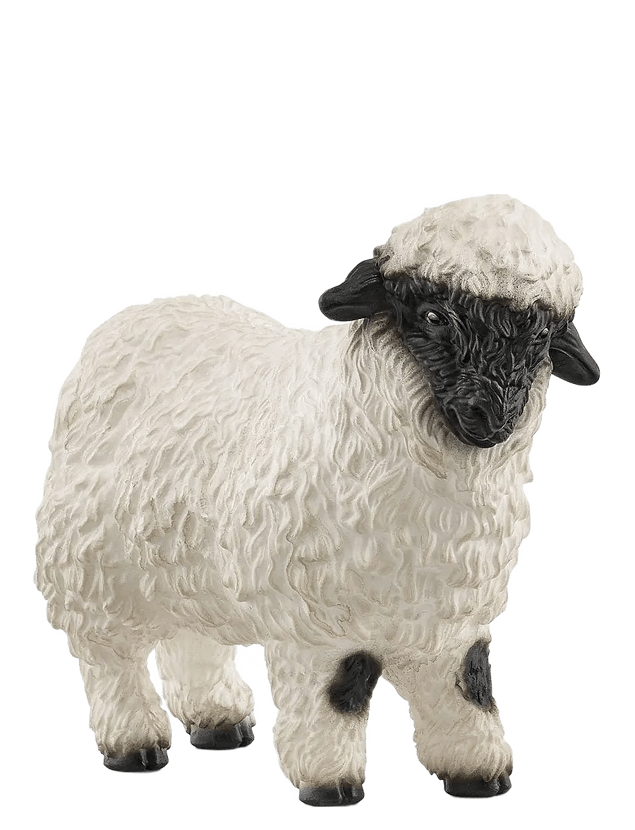 Schleich - Schleich Blacknose sheep - djur - multi - 0