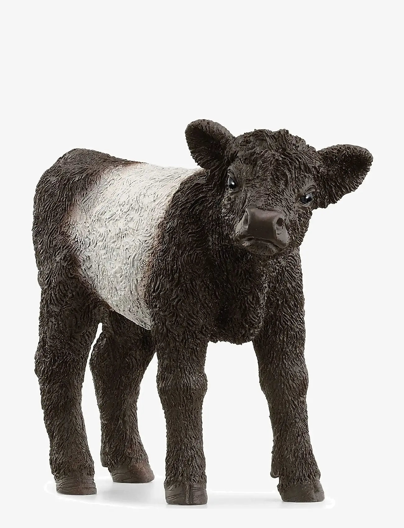Schleich - Schleich Galloway Calf - laveste priser - multi - 0
