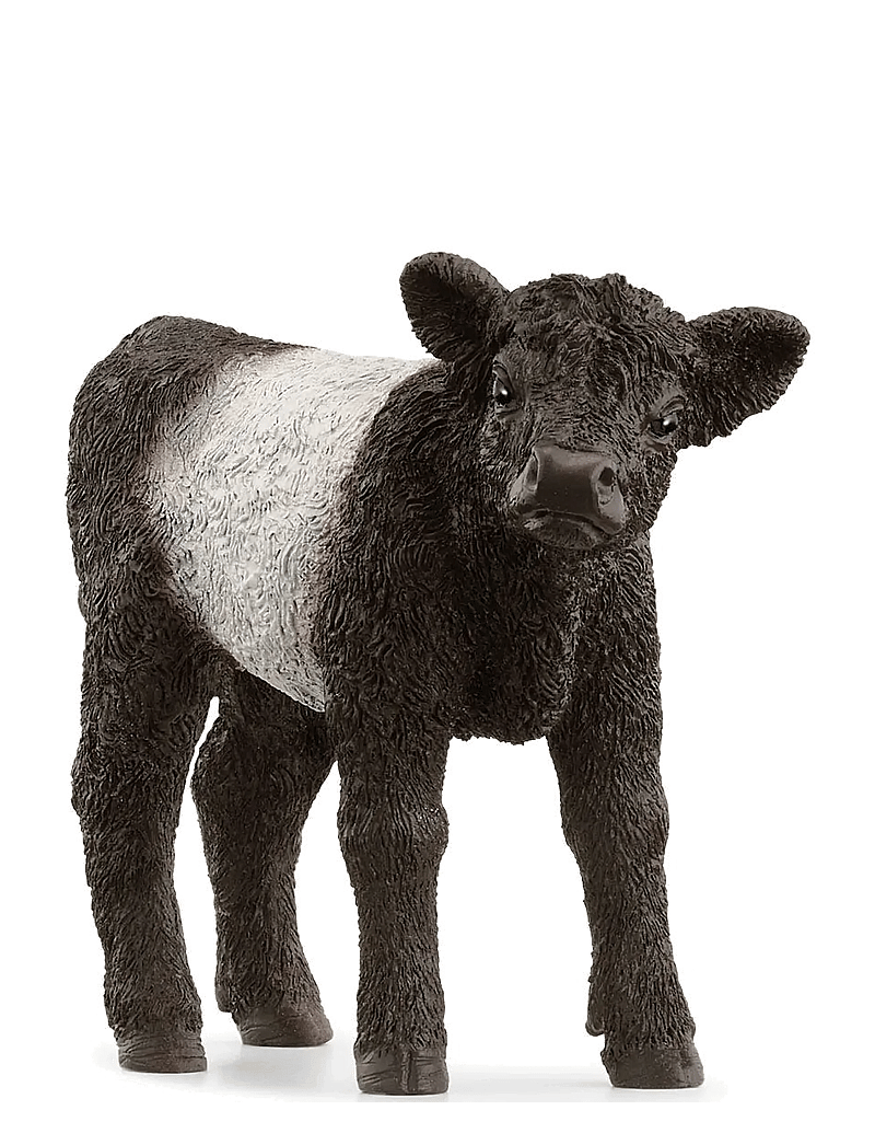 Schleich - Schleich Galloway Calf - dýr - multi - 1
