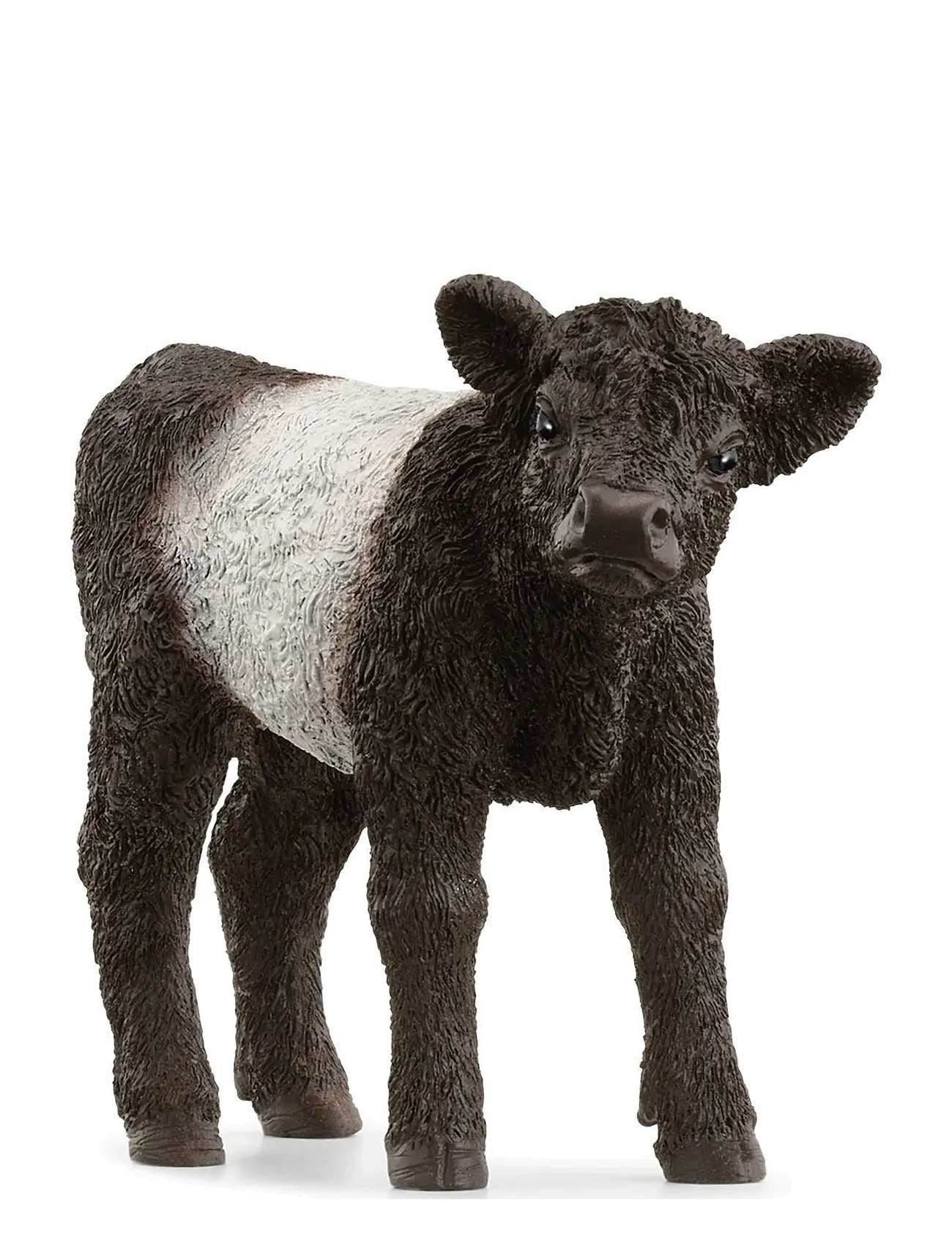 Schleich Schleich Galloway Calf - App deal - MULTI / multi