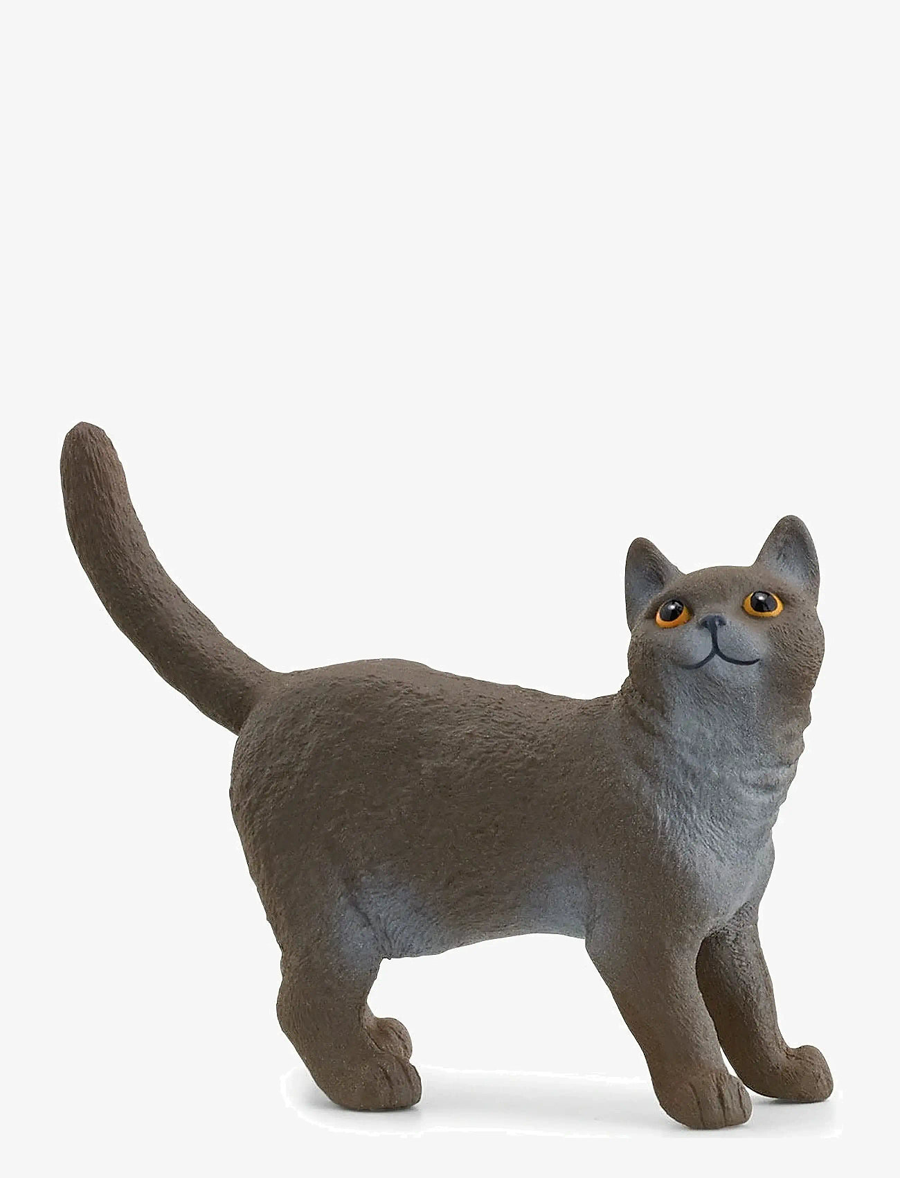 Schleich - Schleich British Shorthair Cat - animals - multi - 0