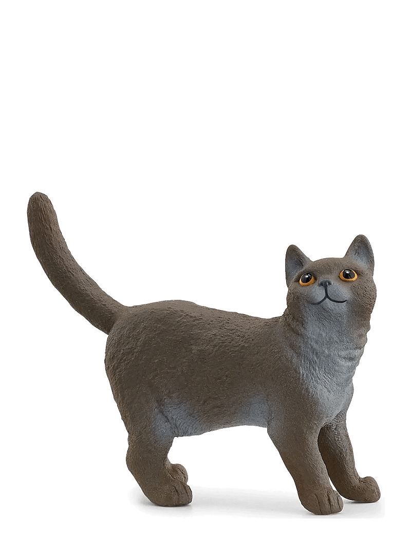 Schleich - Schleich British Shorthair Cat - dýr - multi - 0