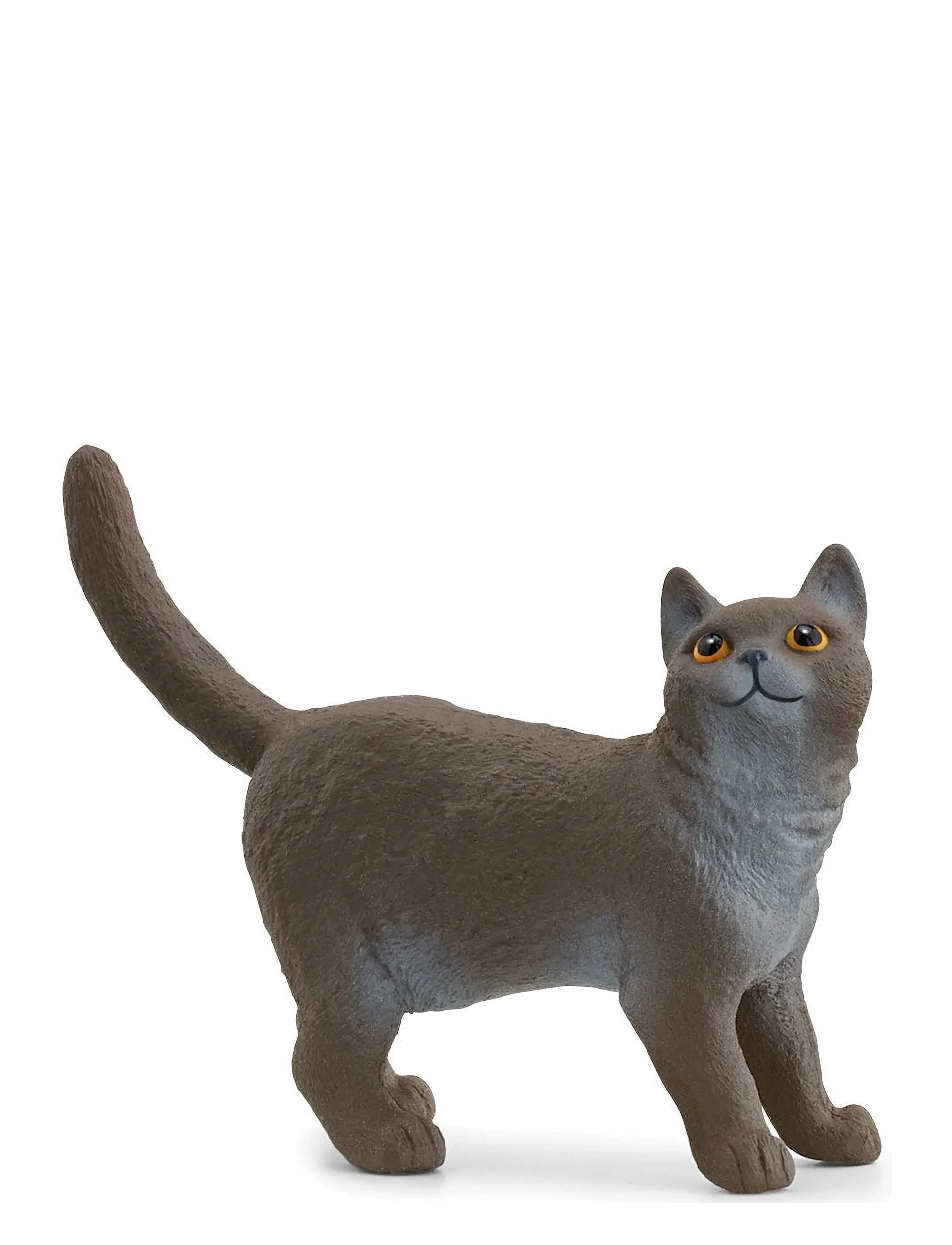 Schleich Schleich British Shorthair Cat - Legetøj - MULTI / multi