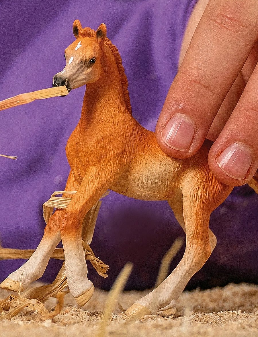 Schleich - Schleich Arab foal - dýr - multi - 0
