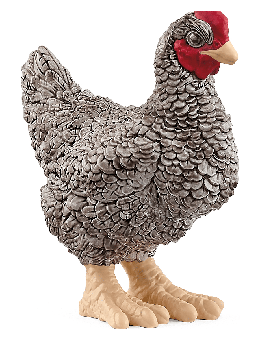 Schleich - Schleich Plymouth Rock Chicken - dyr - muti - 1