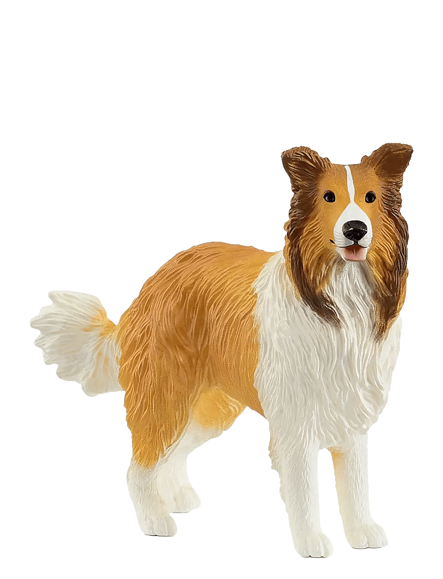 Schleich - Schleich Collie - djur - muti - 1