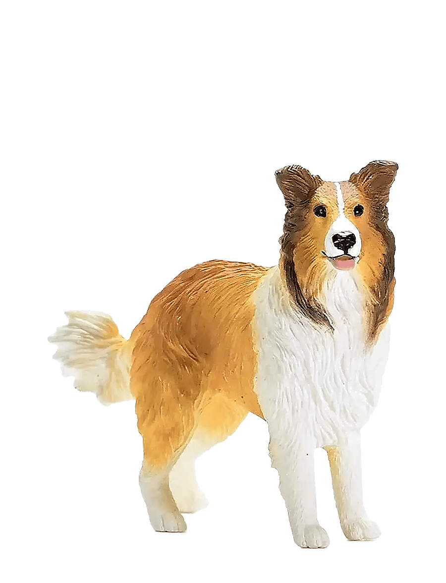 Schleich - Schleich Collie - djur - muti - 5