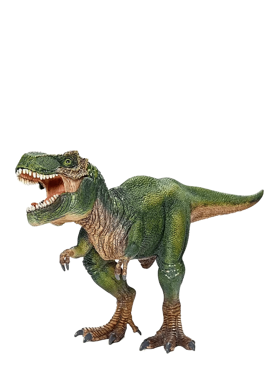 Schleich - Schleich Tyrannosaurus rex - dyr - multi - 1