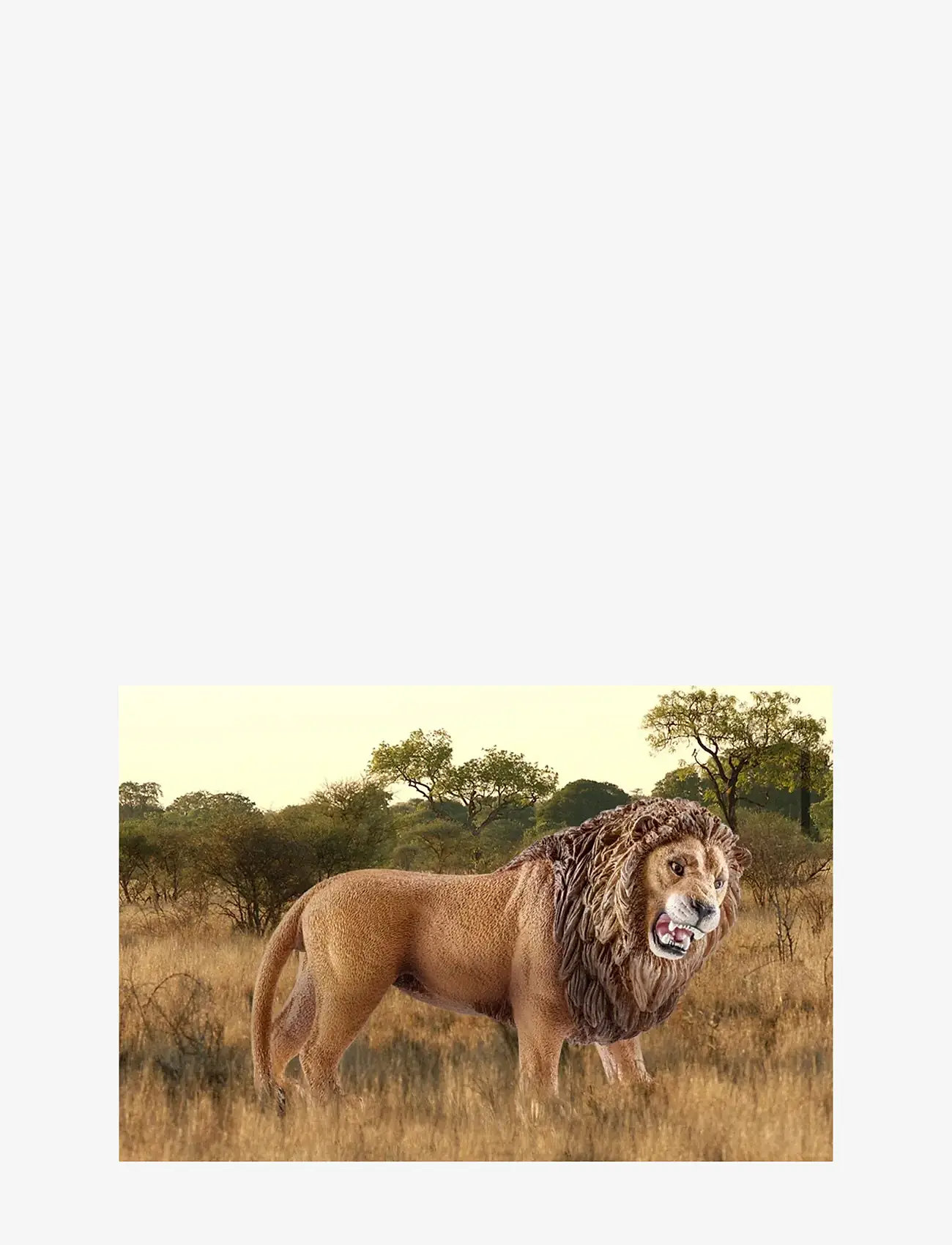 Schleich - Schleich Lion roaring - dyr - multi - 1