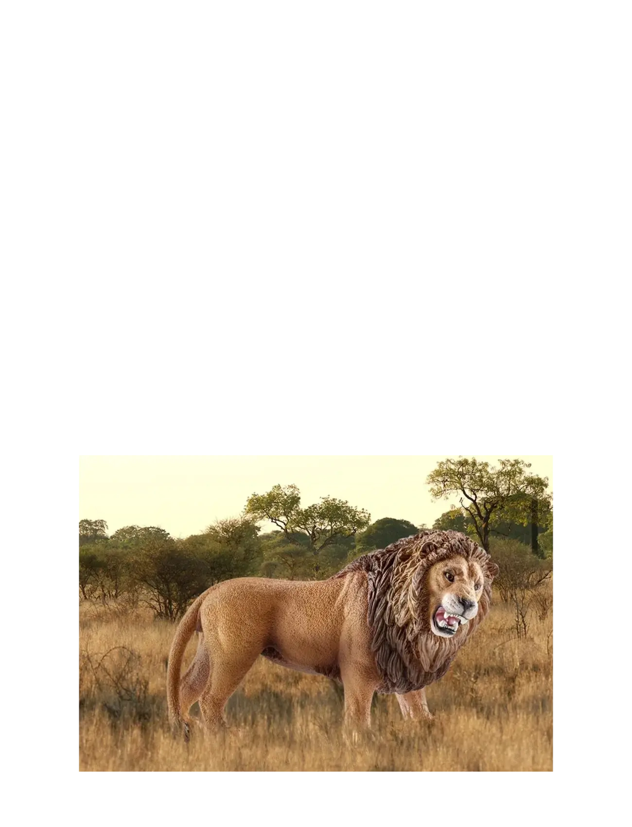 Schleich - Schleich Lion roaring - dýr - multi - 1