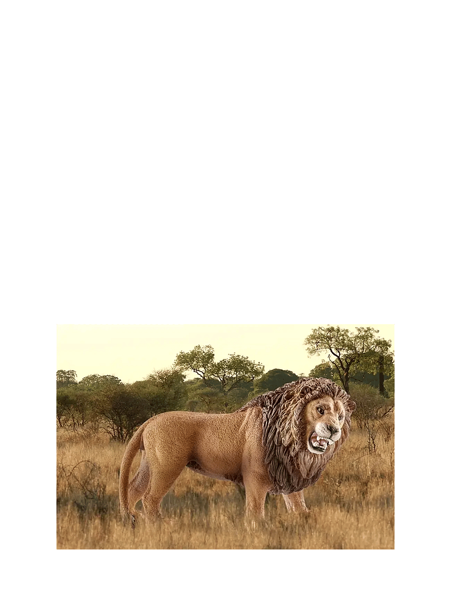 Schleich - Schleich Lion roaring - dýr - multi - 1