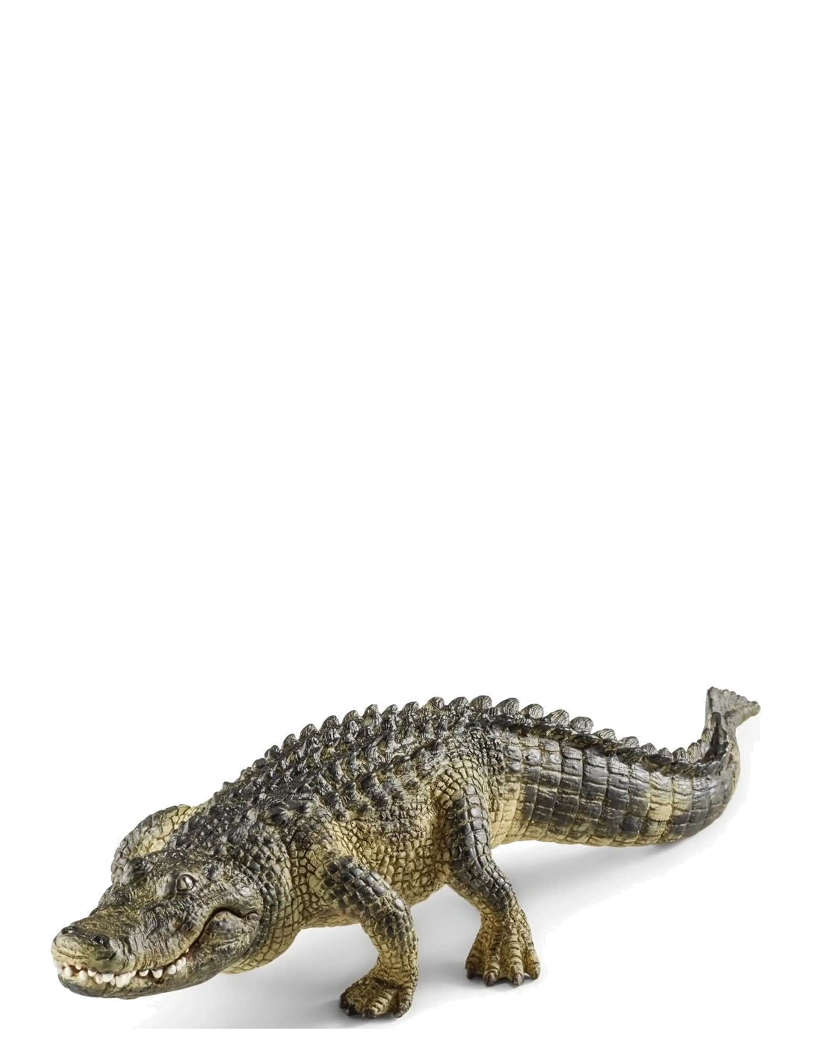 Schleich - Schleich Alligator - alhaisimmat hinnat - multi - 1