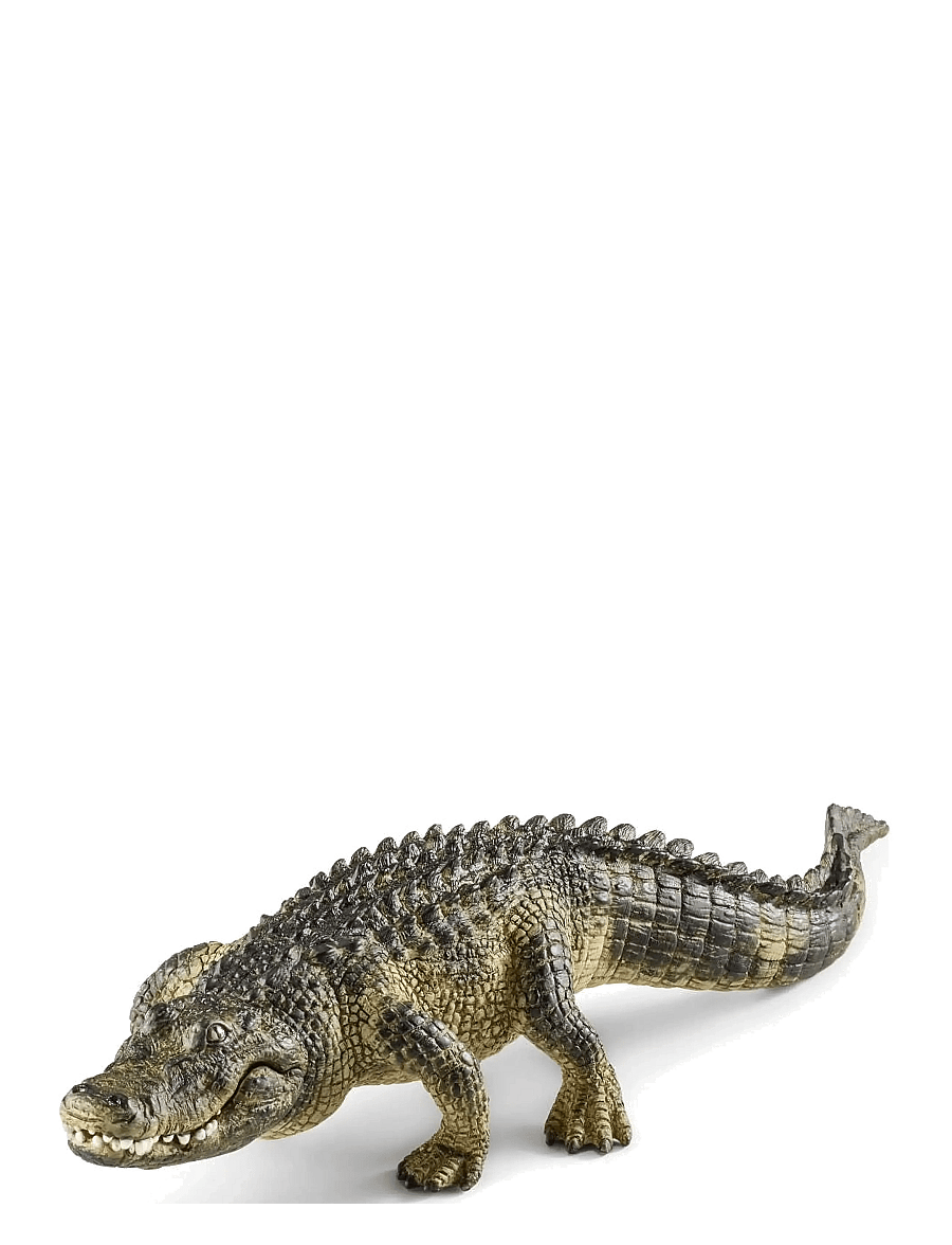Schleich - Schleich Alligator - dyr - multi - 1