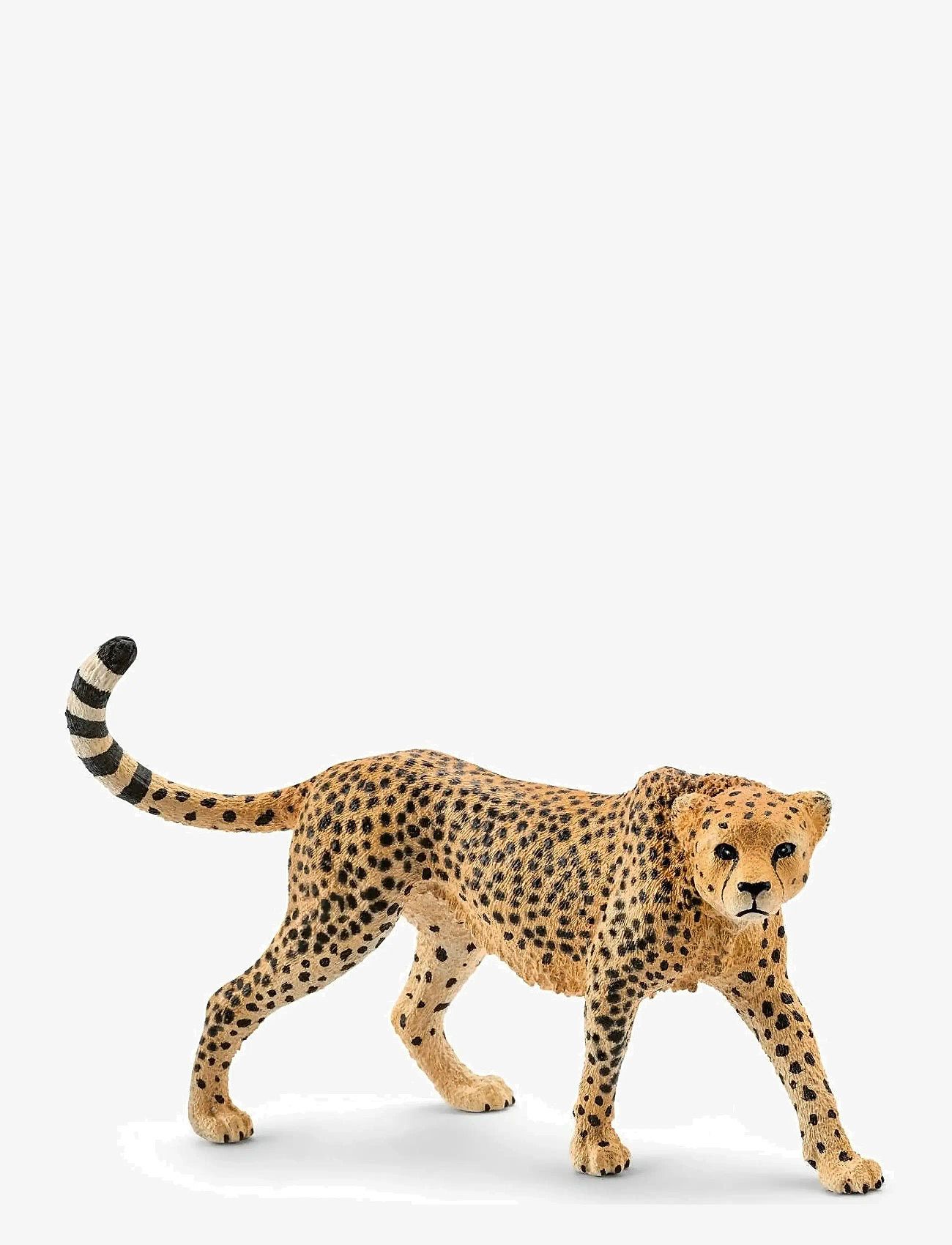 Schleich - Schleich Cheetah female - animals - multi - 1