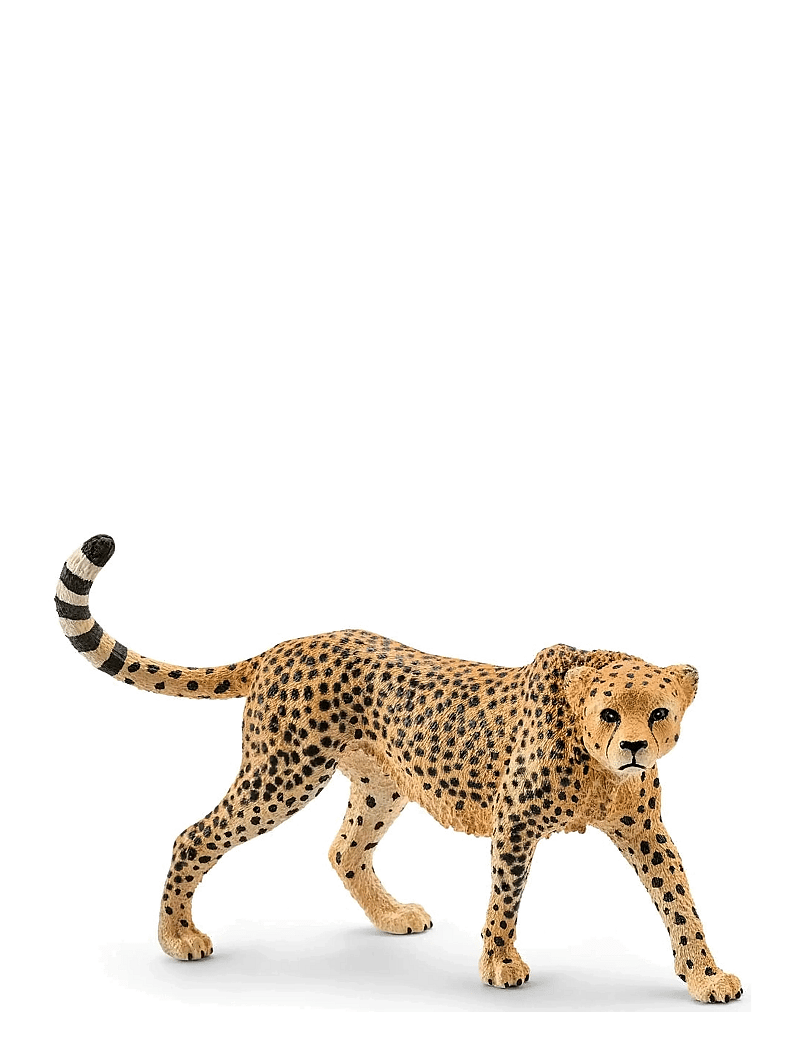 Schleich - Schleich Cheetah female - dýr - multi - 1