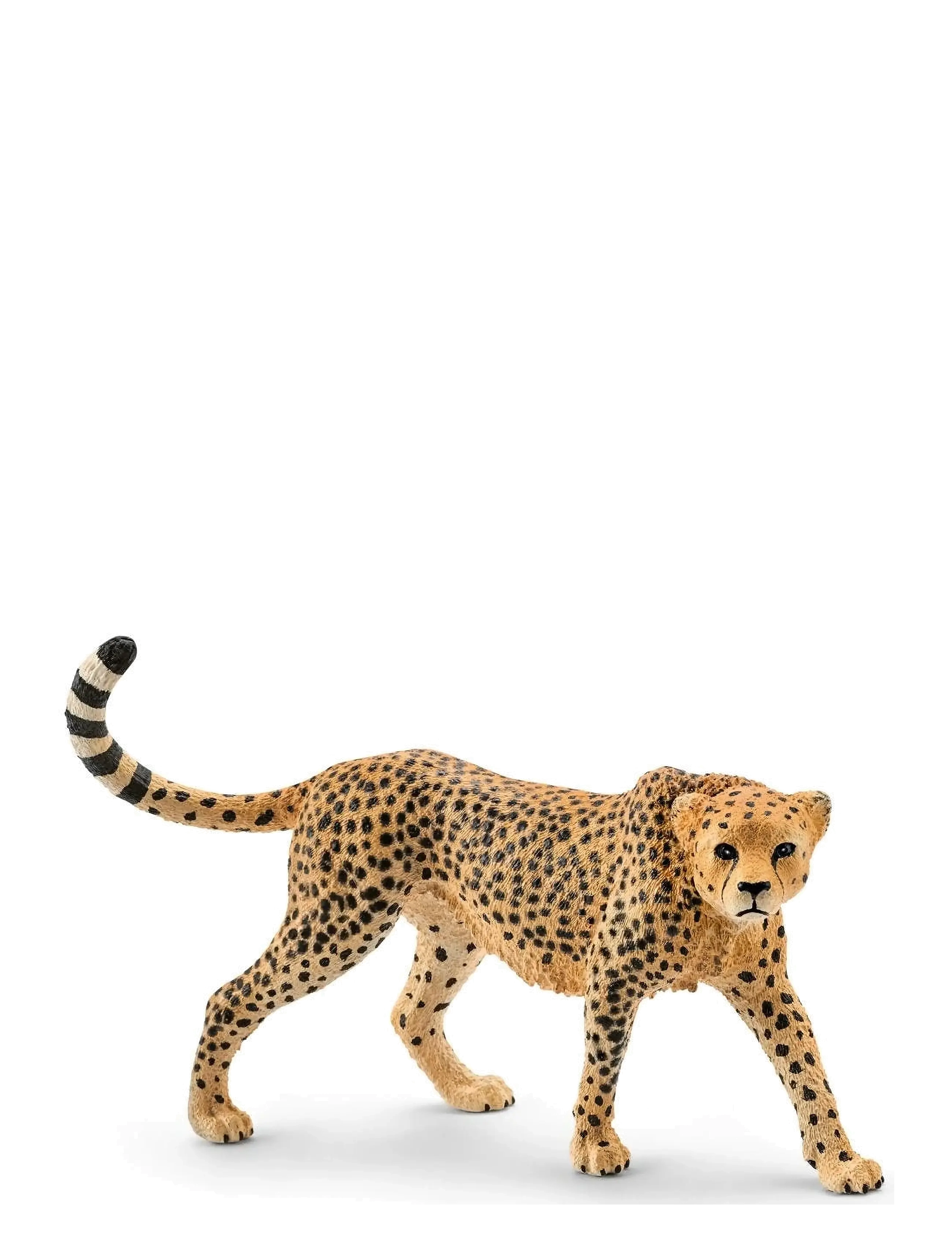 Schleich Schleich Cheetah female - Legetøj - MULTI / multi