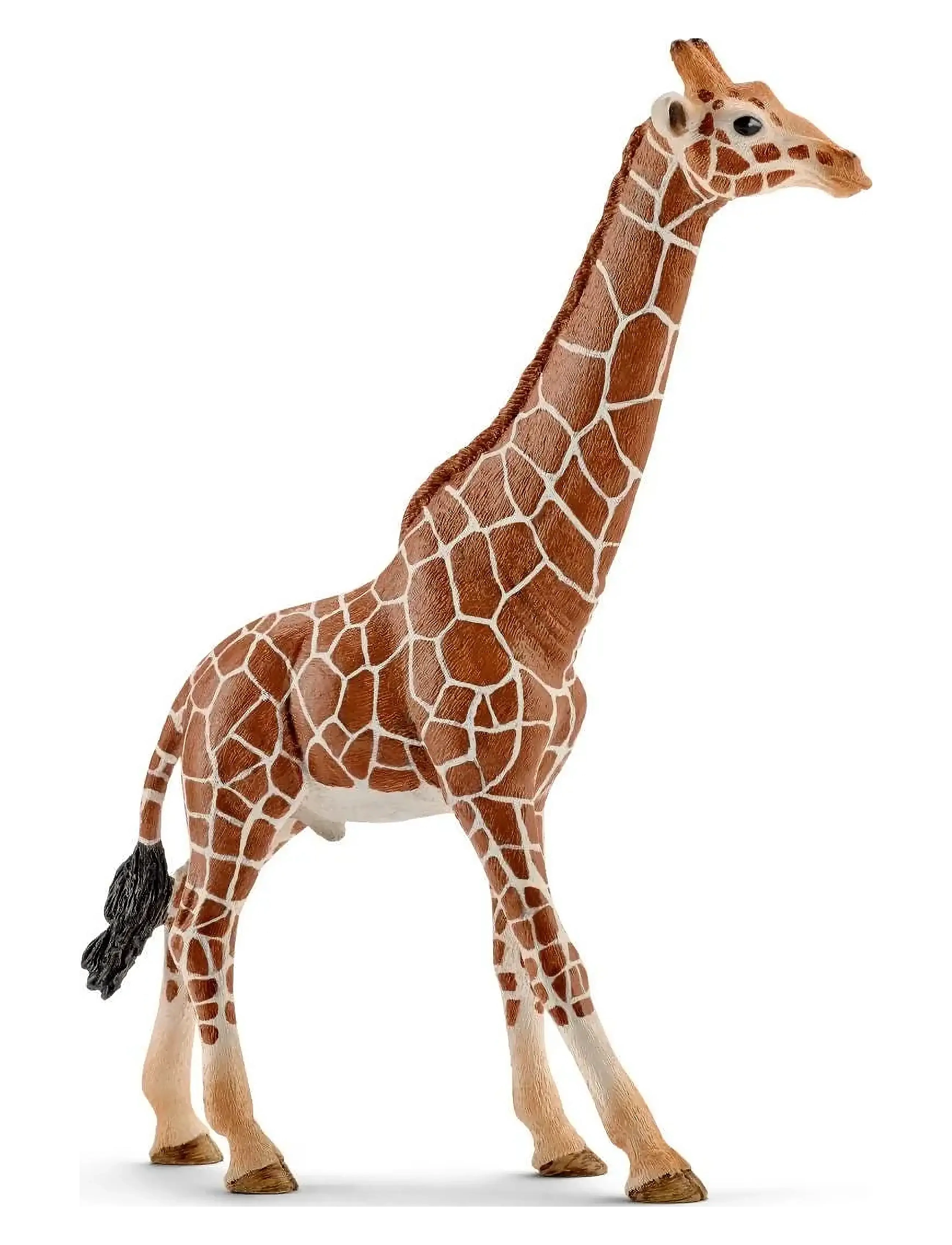Schleich Schleich Giraffe male - Dyr - MULTI / multi