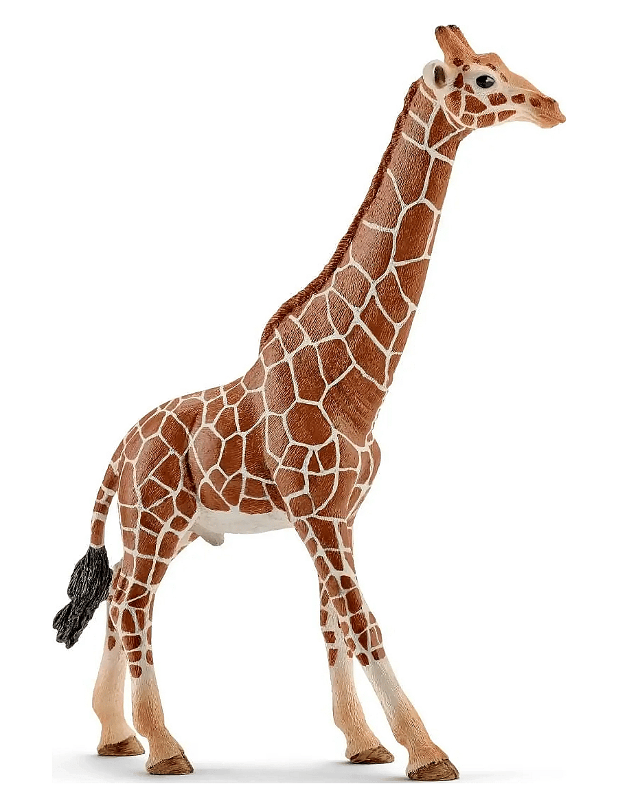 Schleich - Schleich Giraffe male - dýr - multi - 0